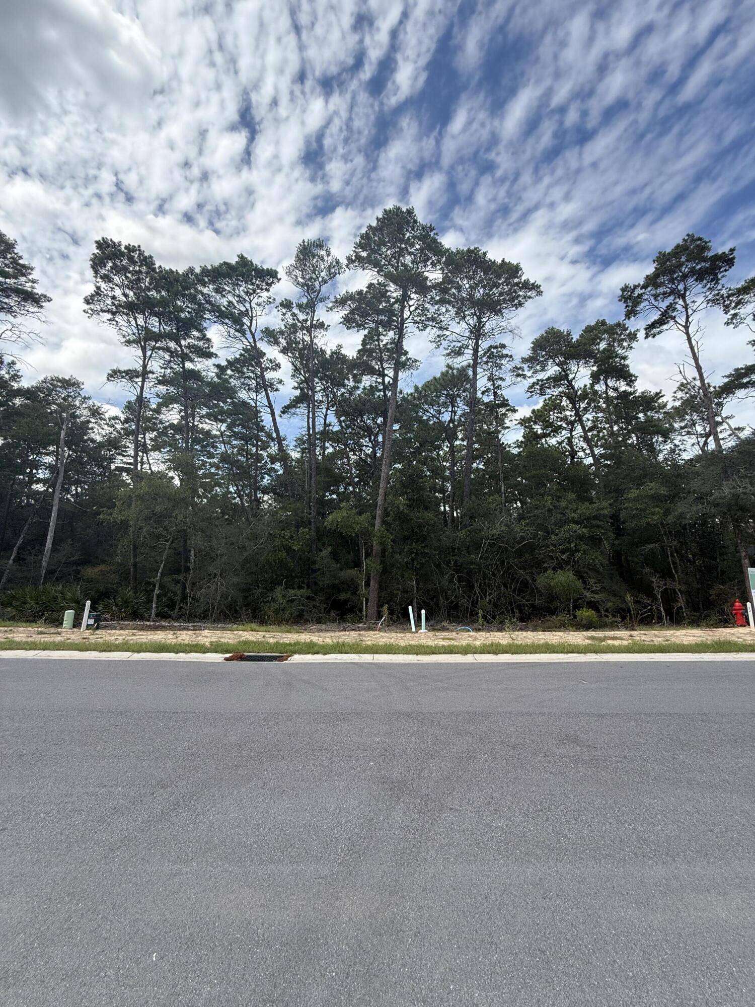 241 Foxglove Run Niceville FL 32578