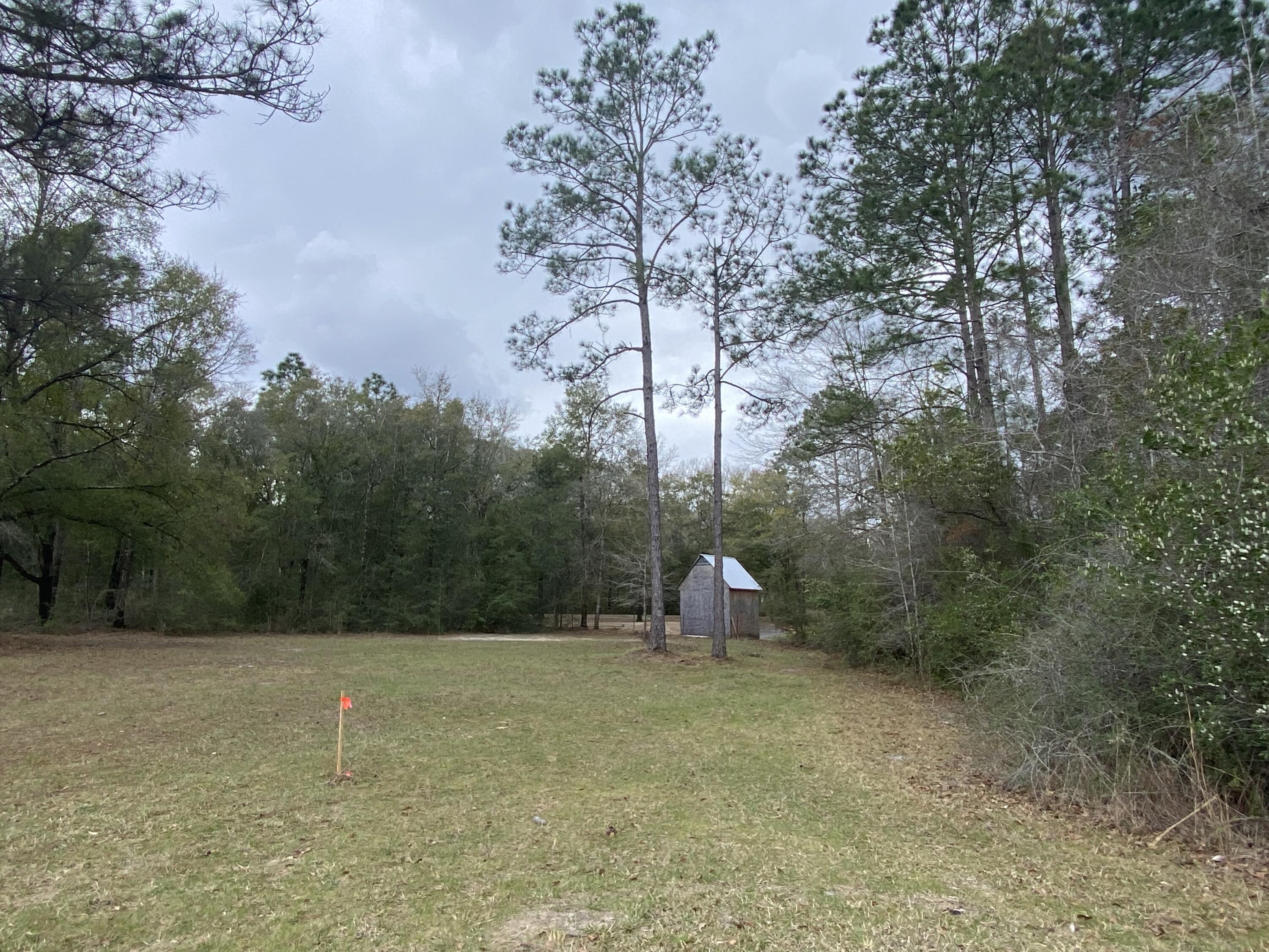 Tbd Gilmore Road Holt FL 32564