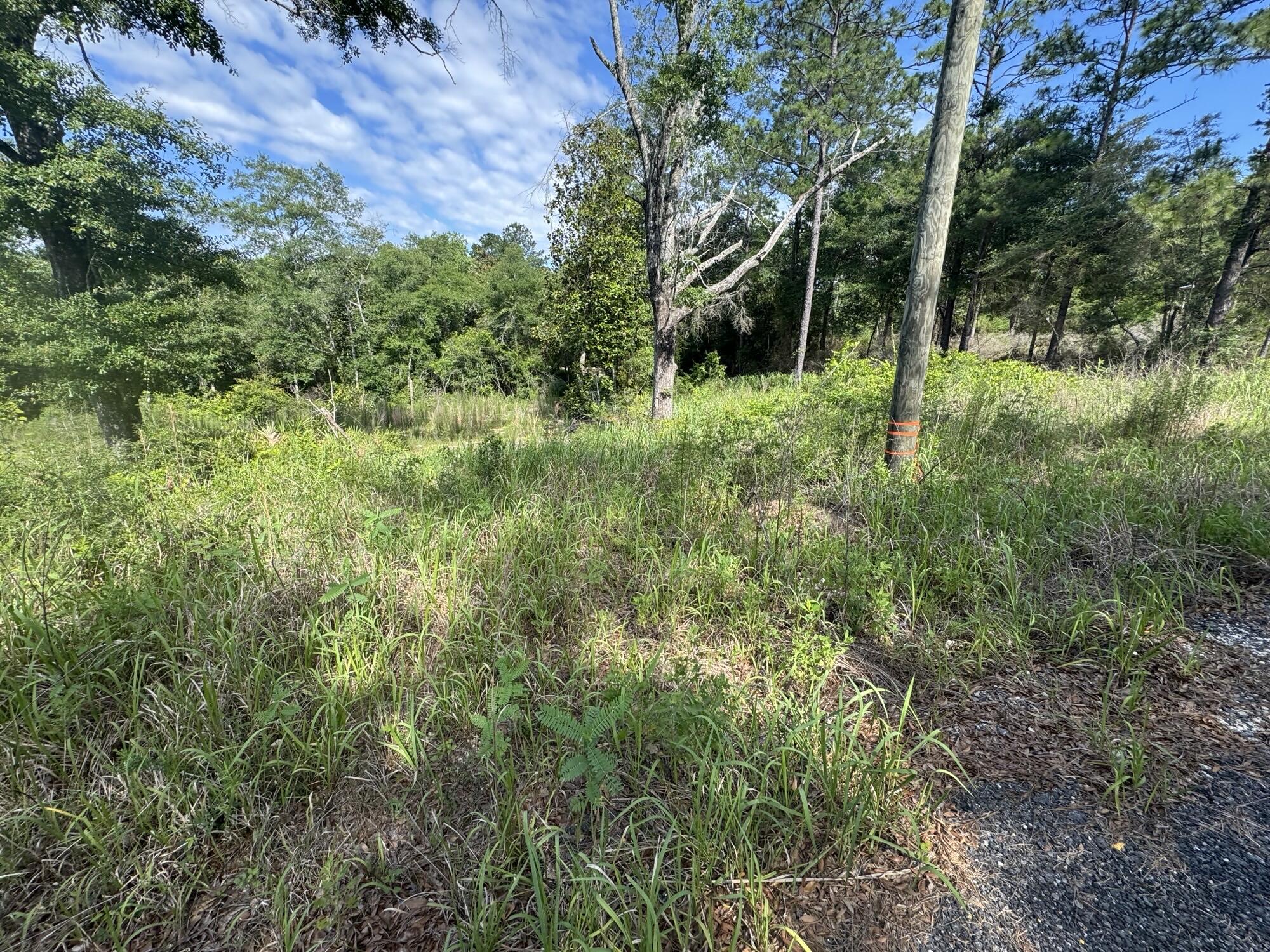 1.94 Acres Lakewood Drive Defuniak Springs FL 32435