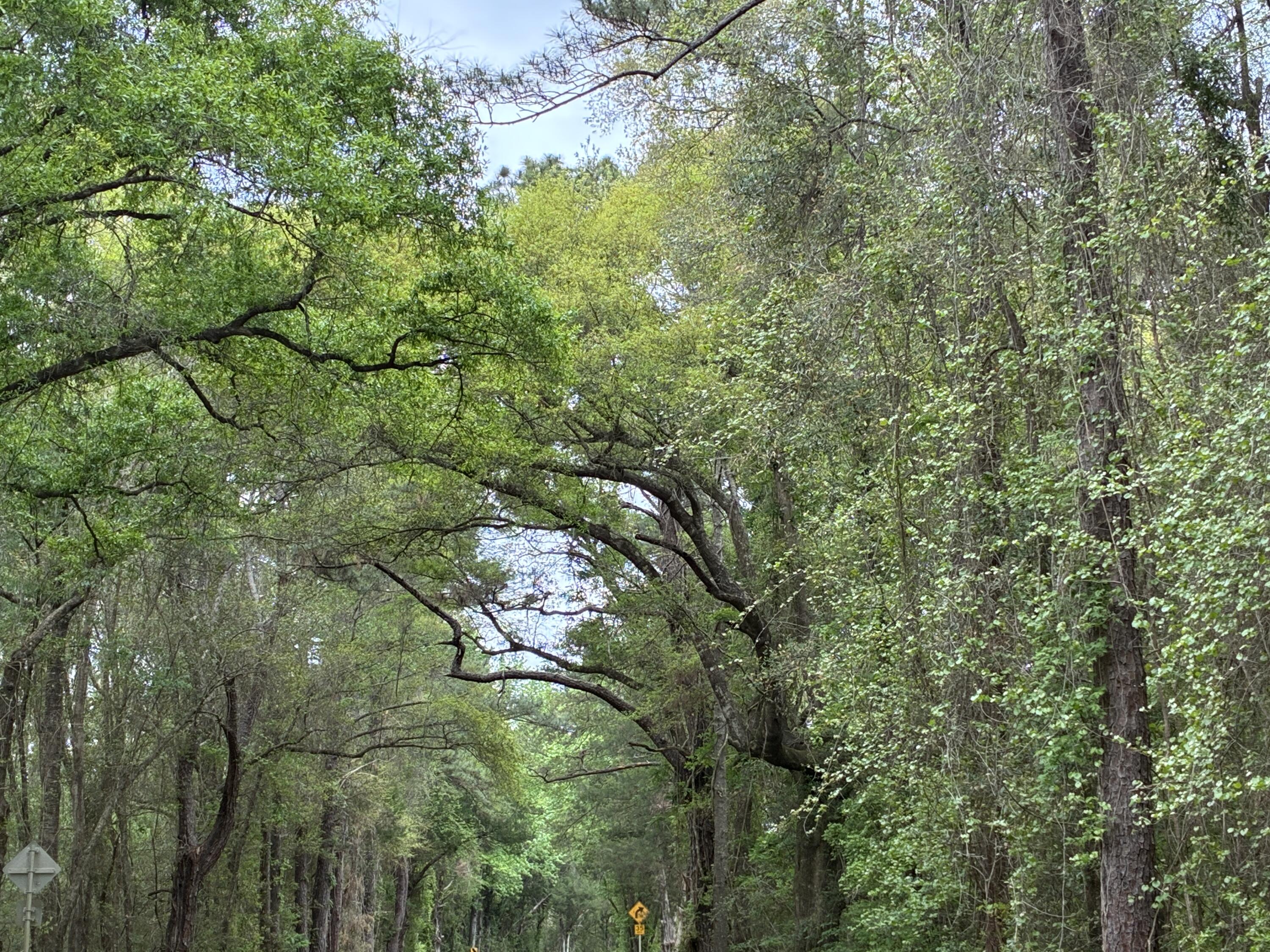 Xx S County Highway 183 Ponce De Leon FL 32455