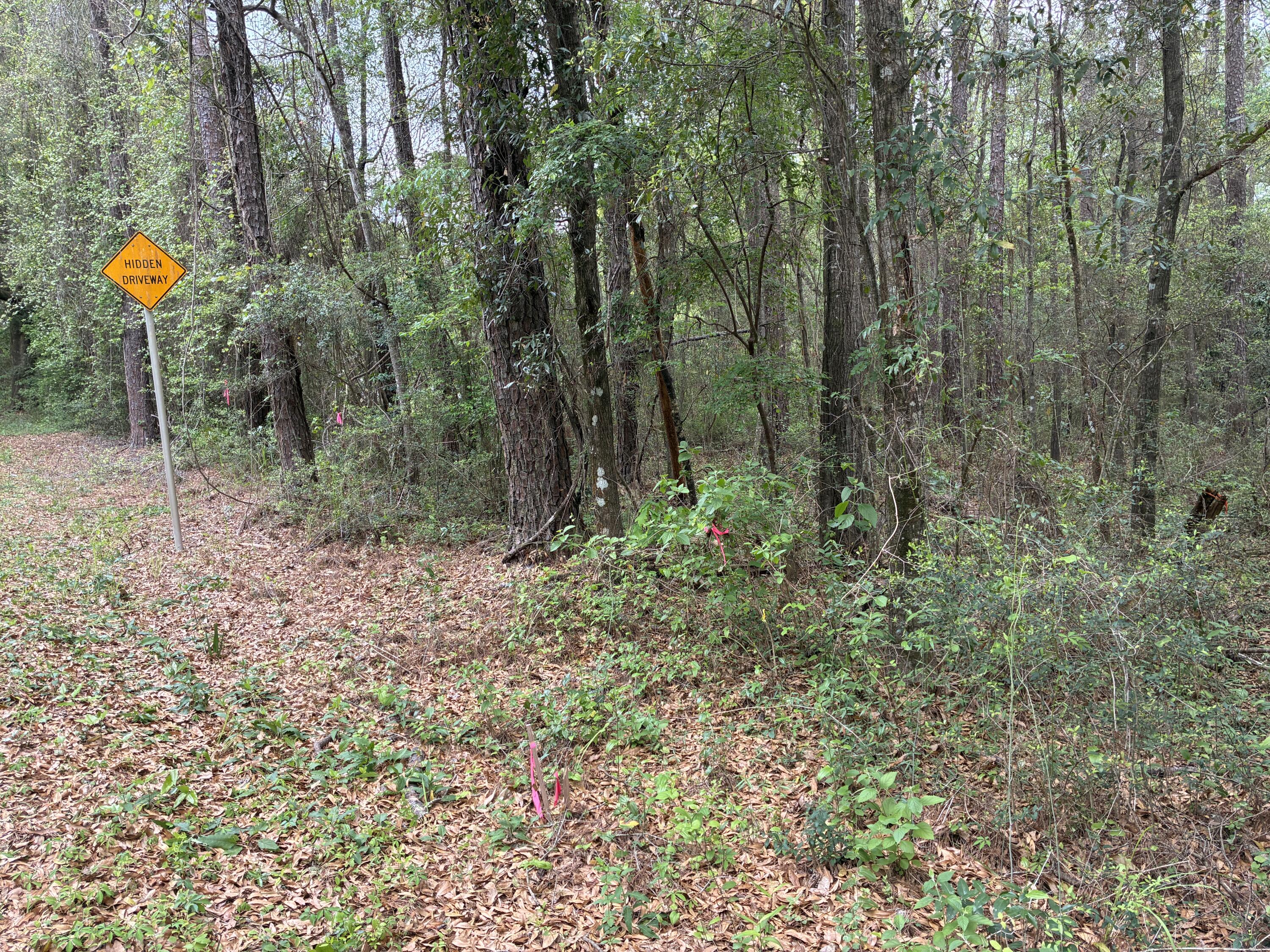 Xx S County Highway 183 Ponce De Leon FL 32455