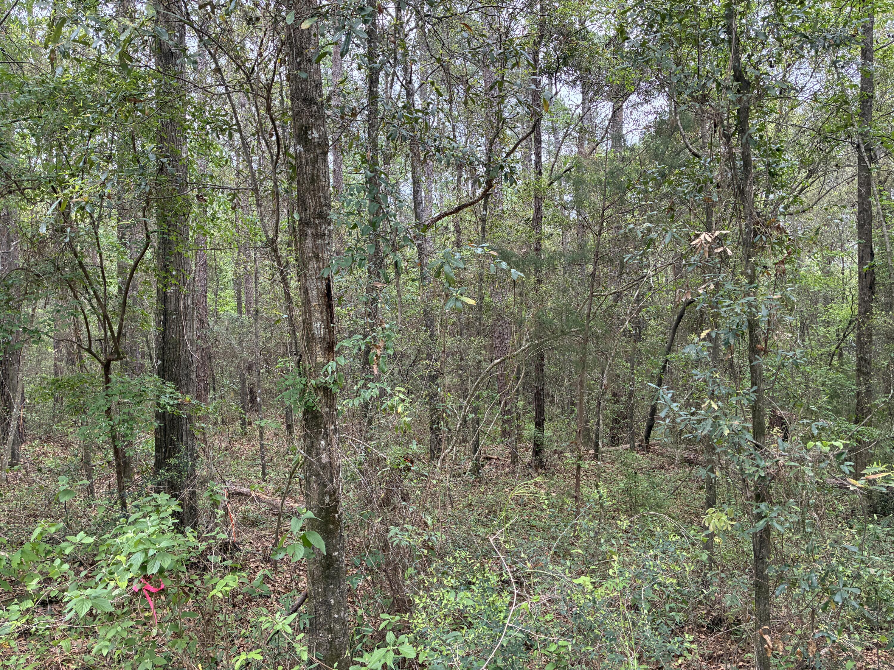 Xx S County Highway 183 Ponce De Leon FL 32455