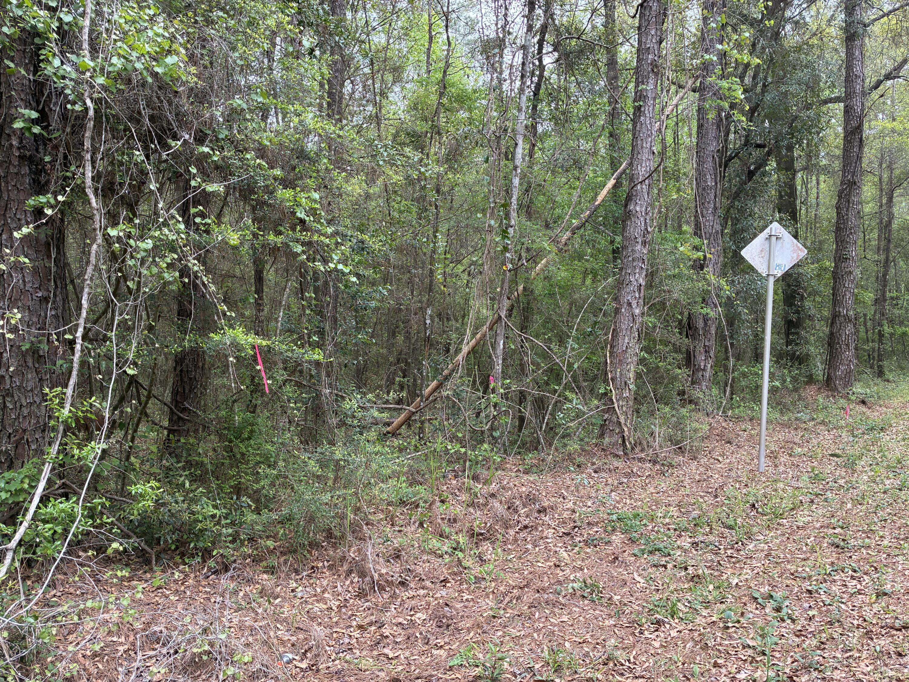 Xx S County Highway 183 Ponce De Leon FL 32455