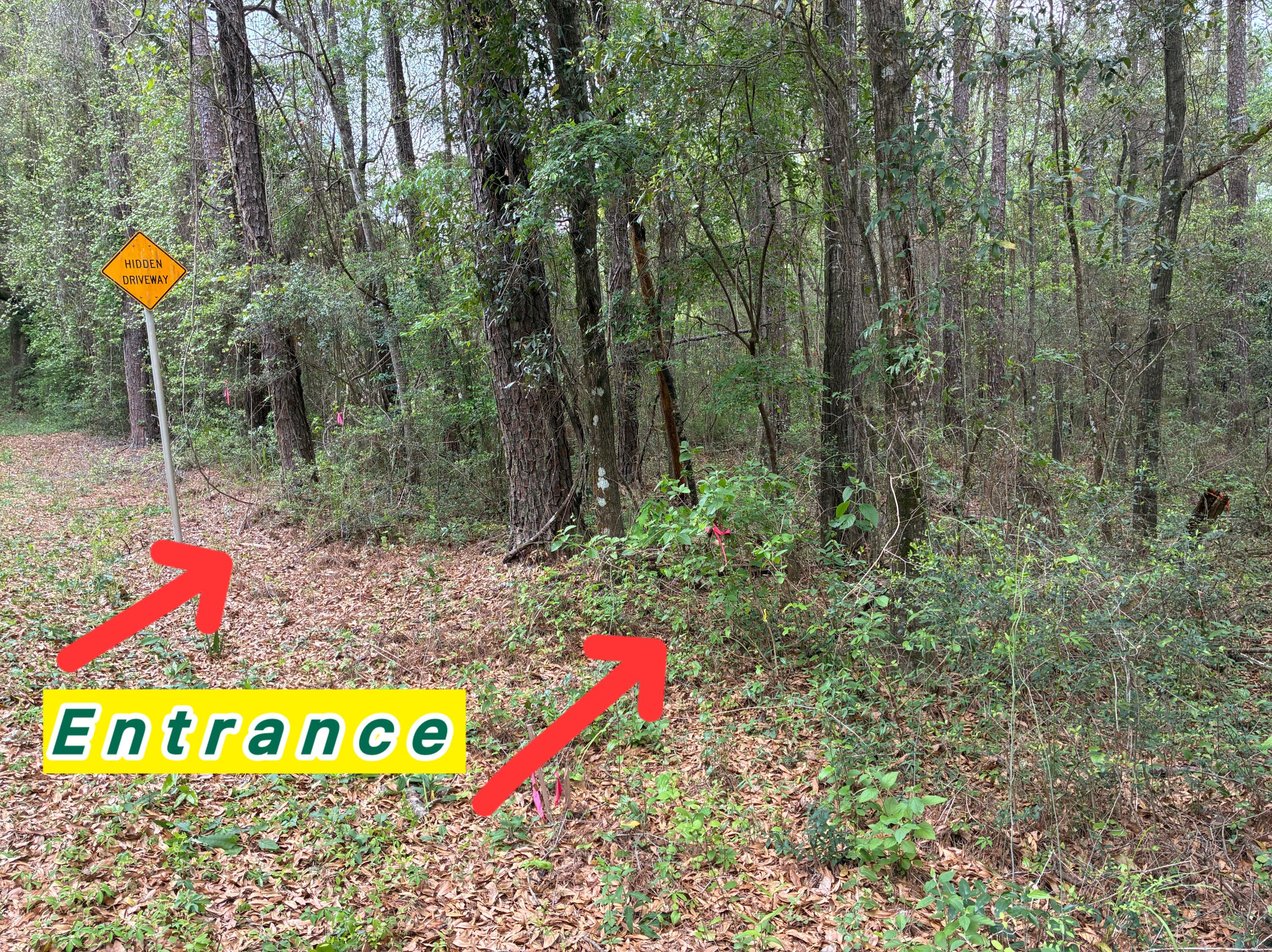 Xx S County Highway 183 Ponce De Leon FL 32455