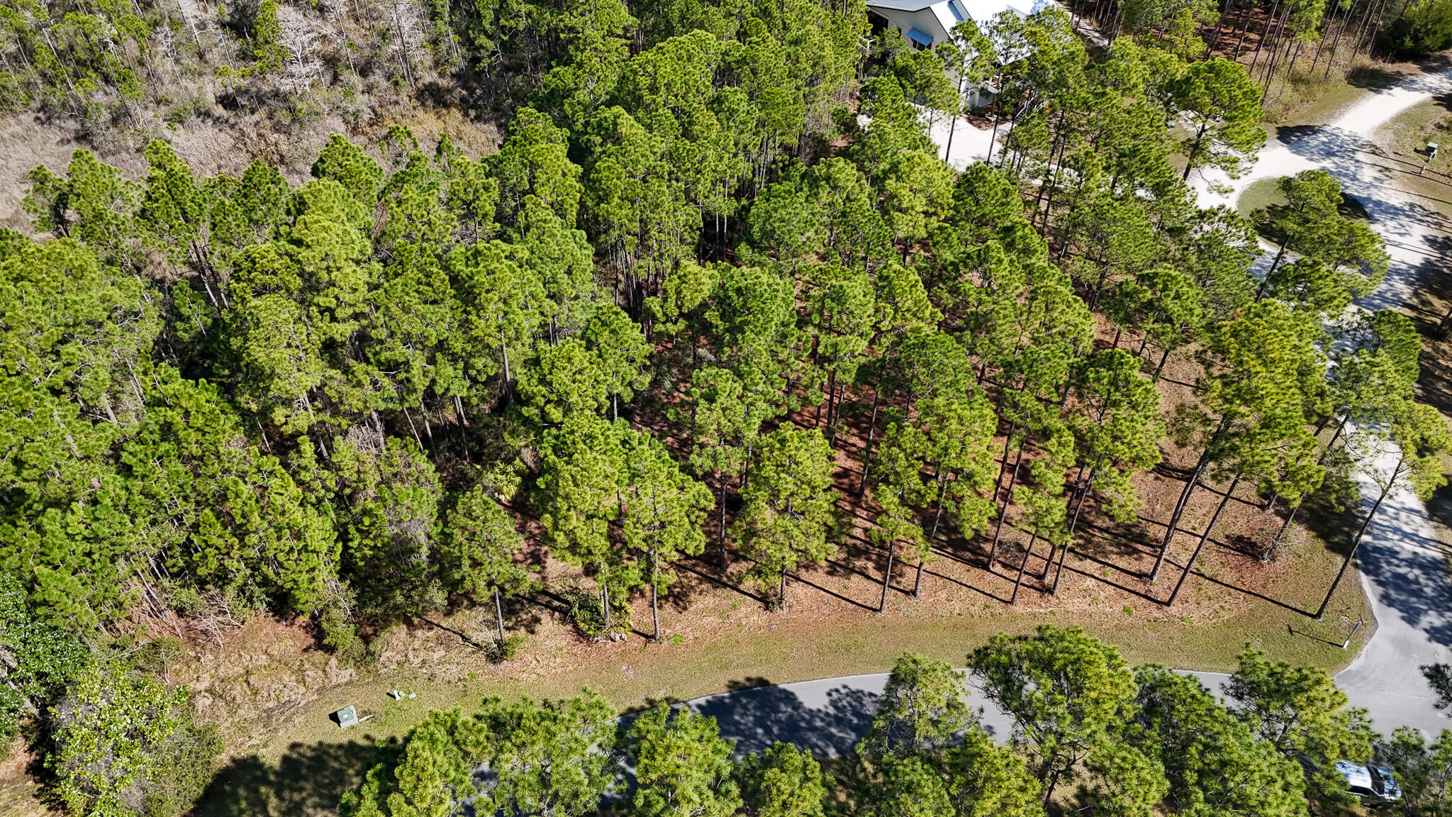 7516 Morning Marsh Trail Panama City Beach FL 32413