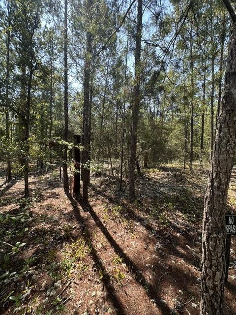 Lot 5 E Buckeye Street Defuniak Springs FL 32433
