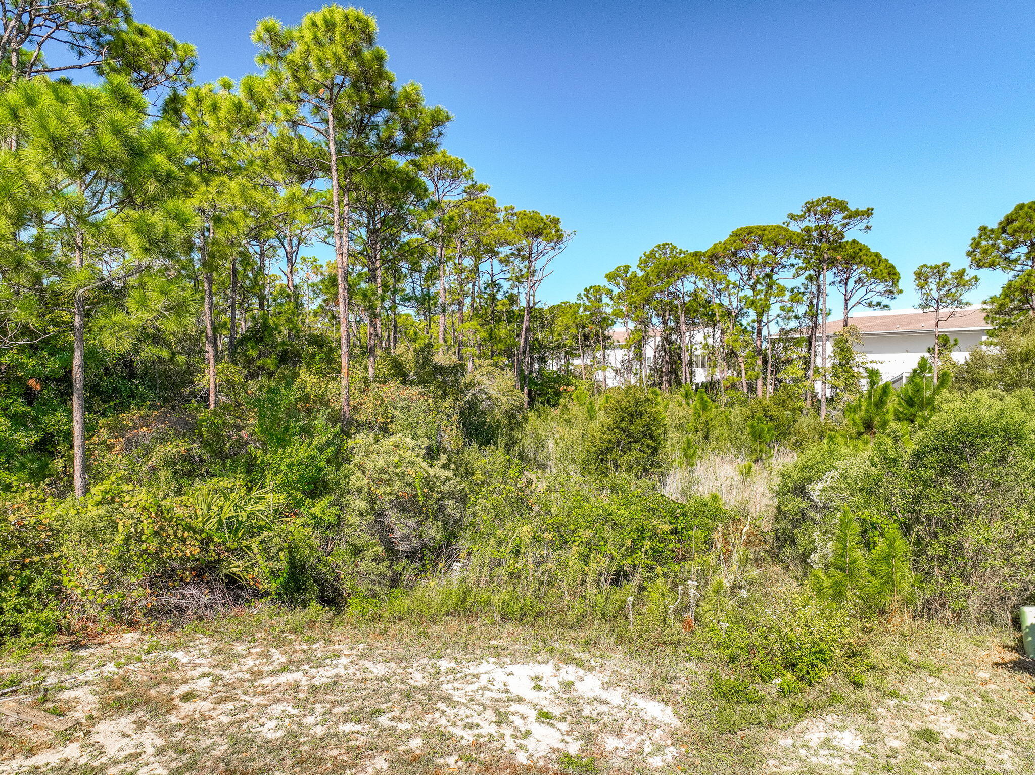 55 Shelley's Way Miramar Beach FL 32550
