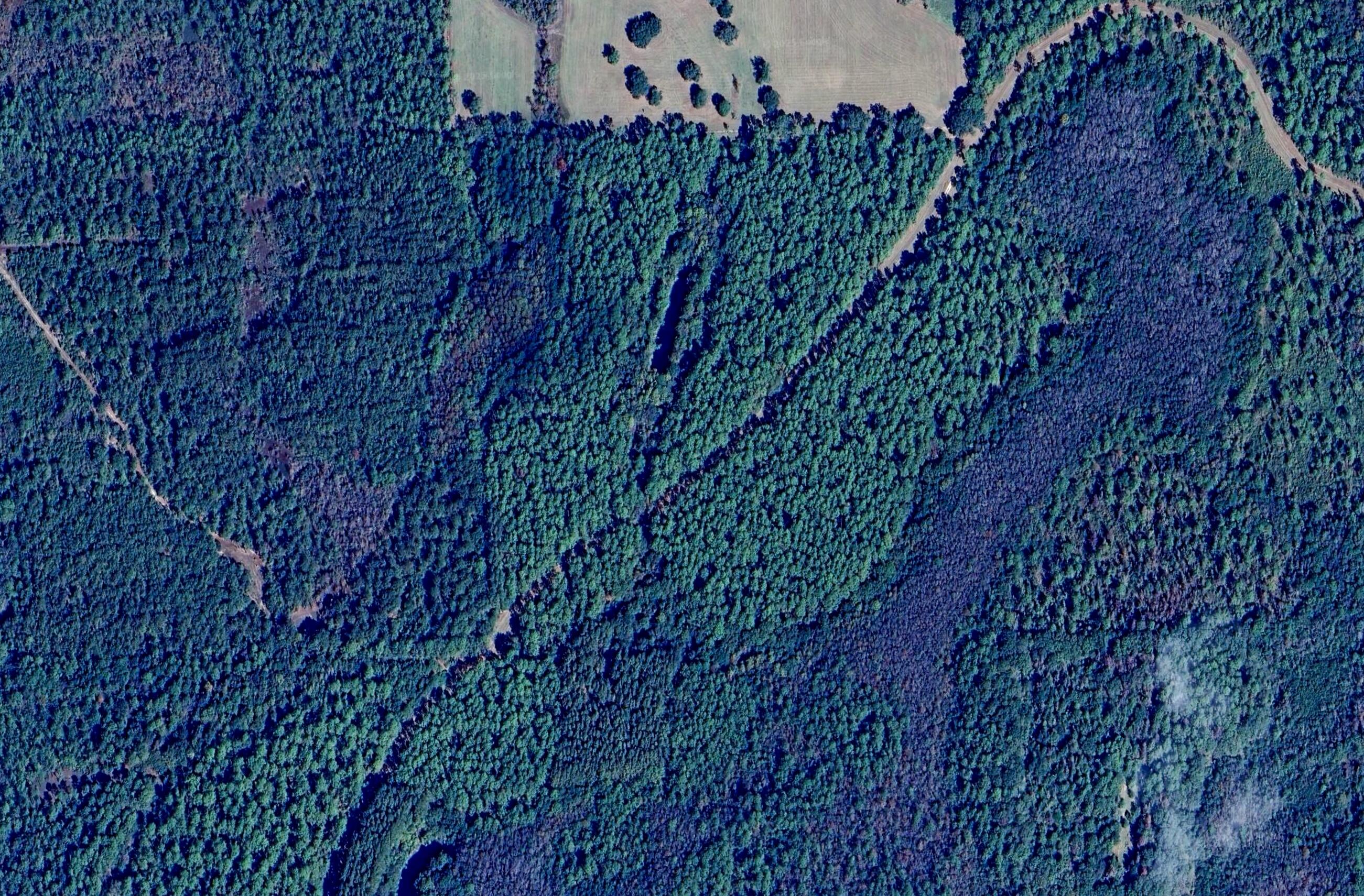 5 Canopy Oaks Boulevard Bonifay FL 32425