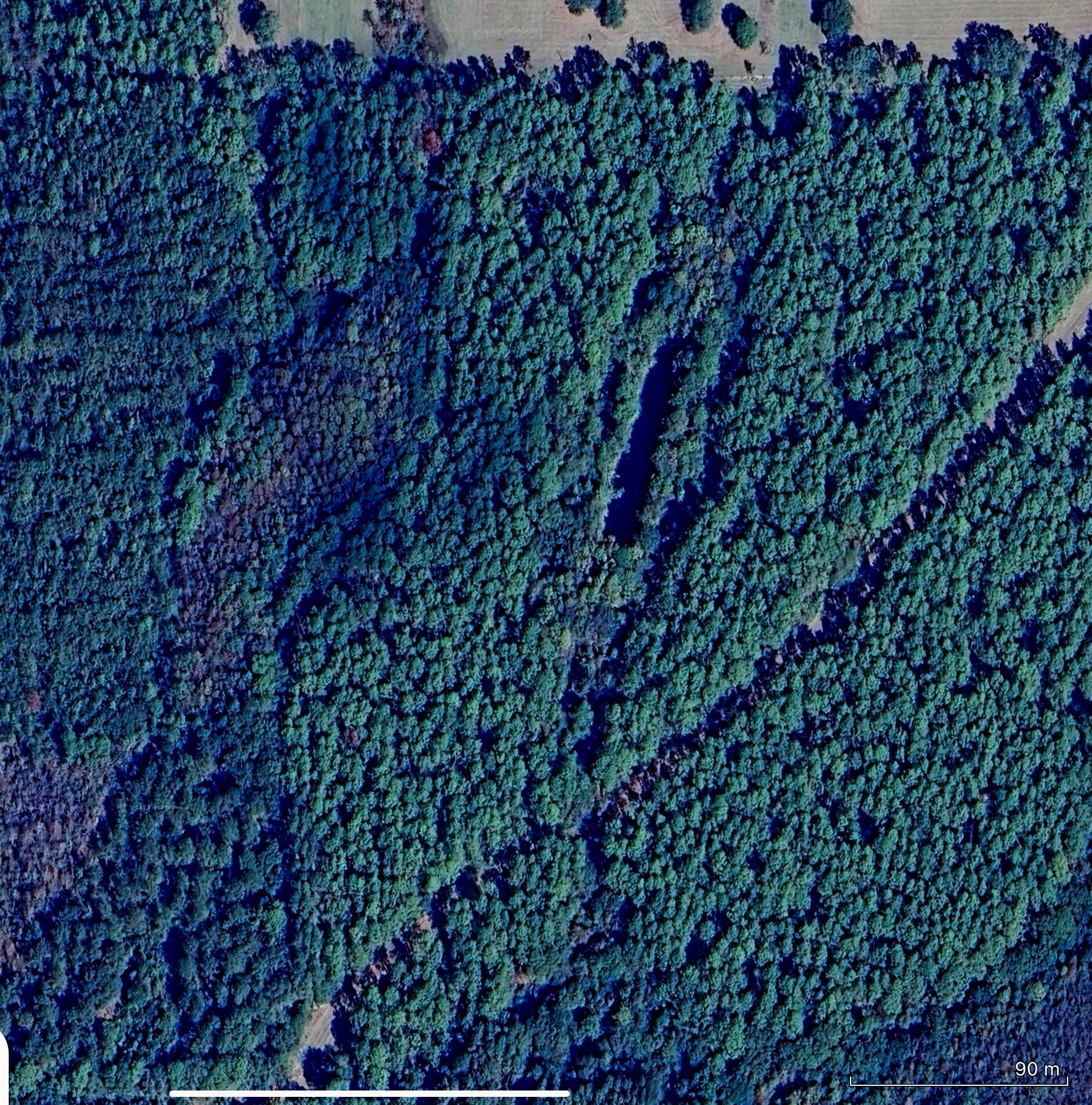 5 Canopy Oaks Boulevard Bonifay FL 32425