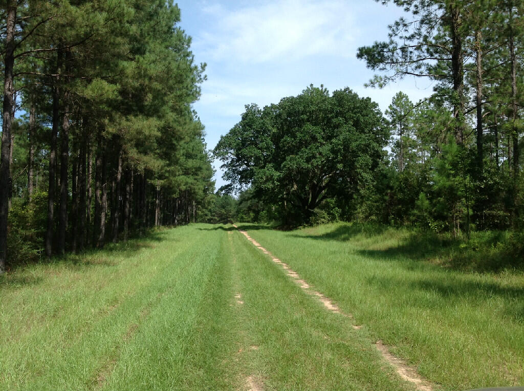 5 Canopy Oaks Boulevard Bonifay FL 32425