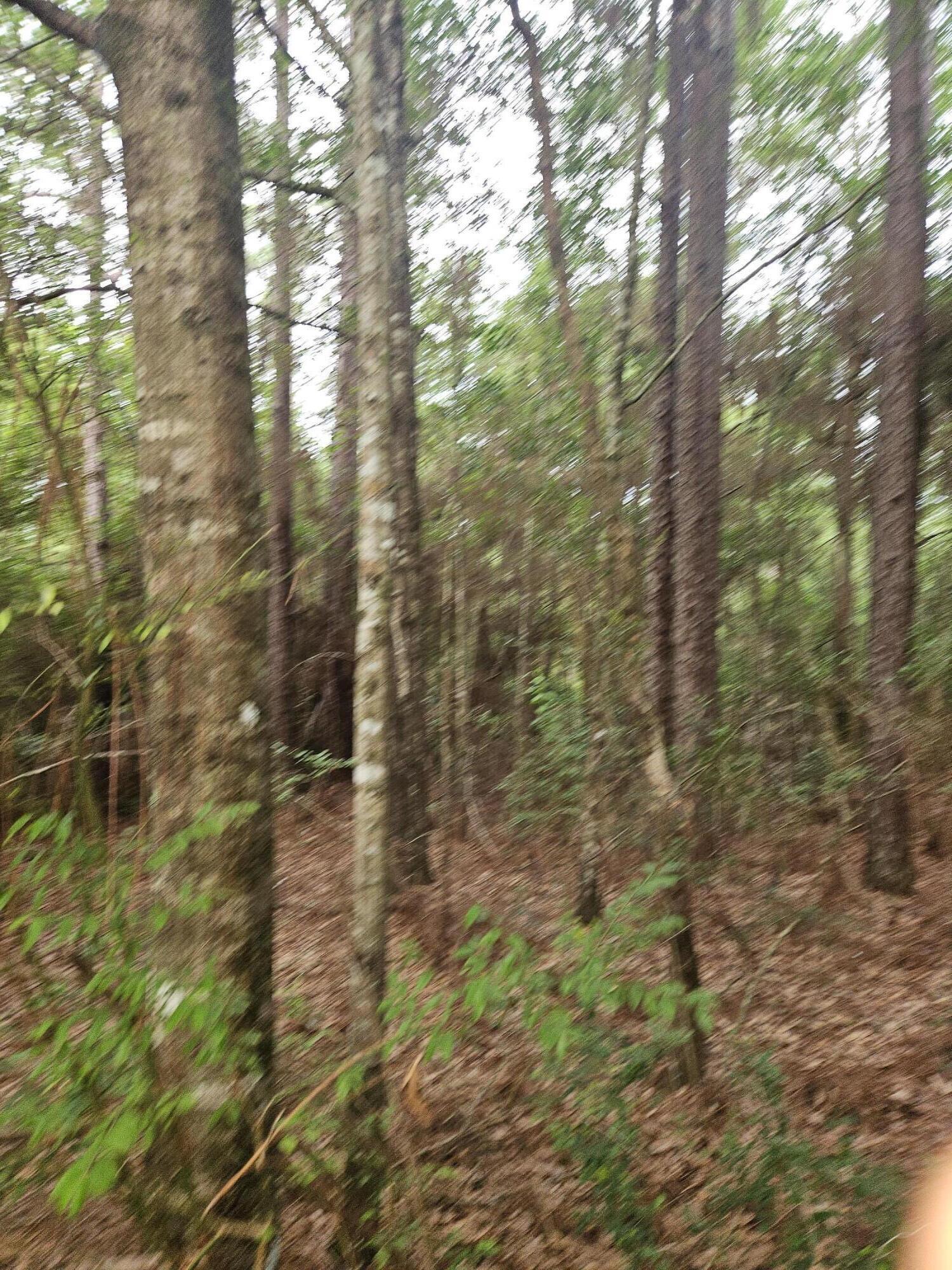 1.12 Acres Possum Ridge Road Crestview FL 32539