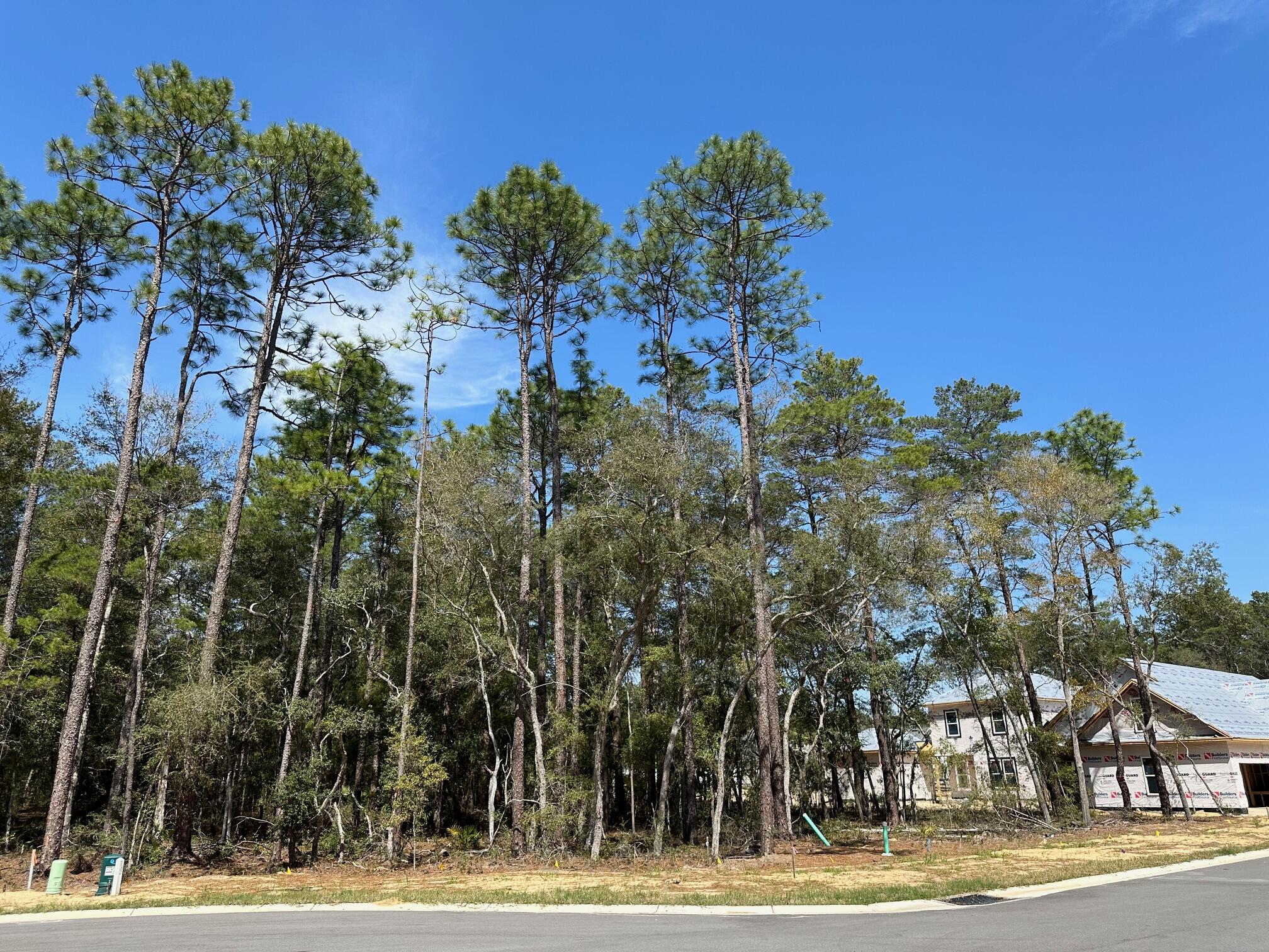 320 Gazelle Court Niceville FL 32578