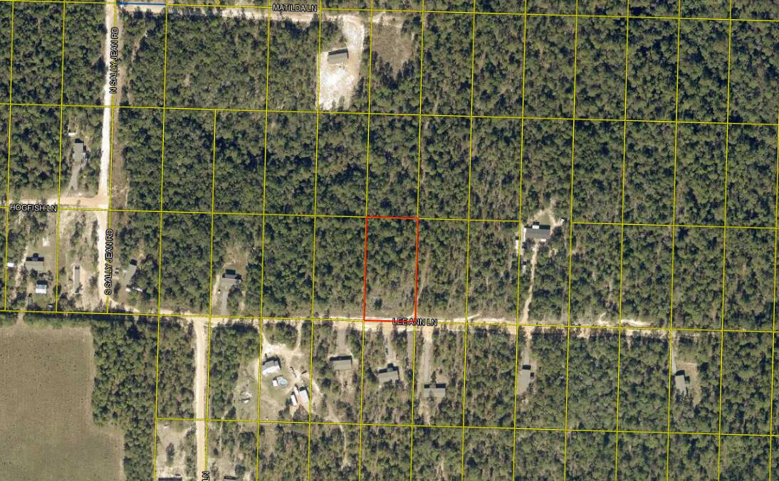 Xxx Lee Ann Lane Defuniak Springs FL 32433