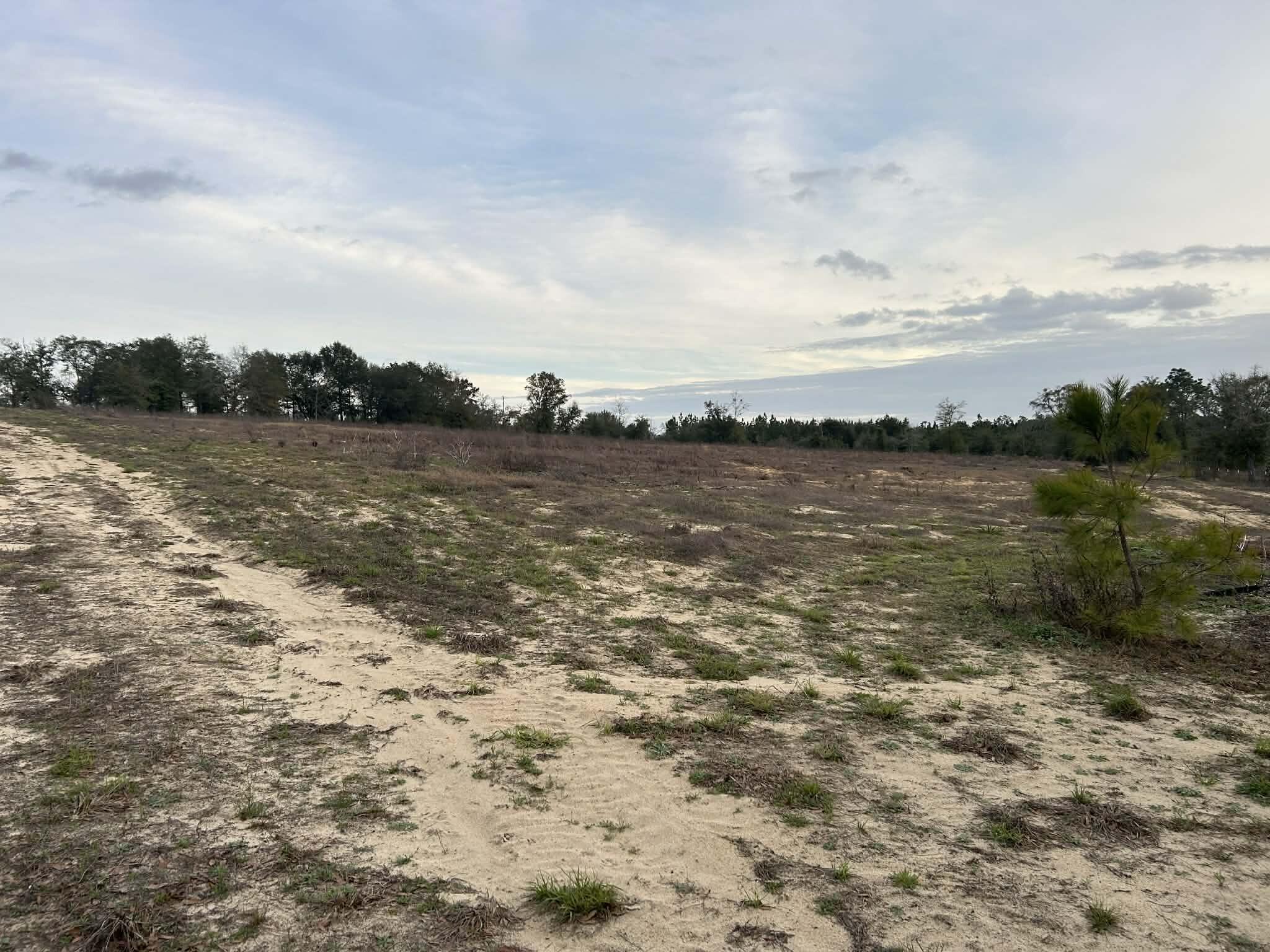 107 Pike Pond Road Chipley FL 32428