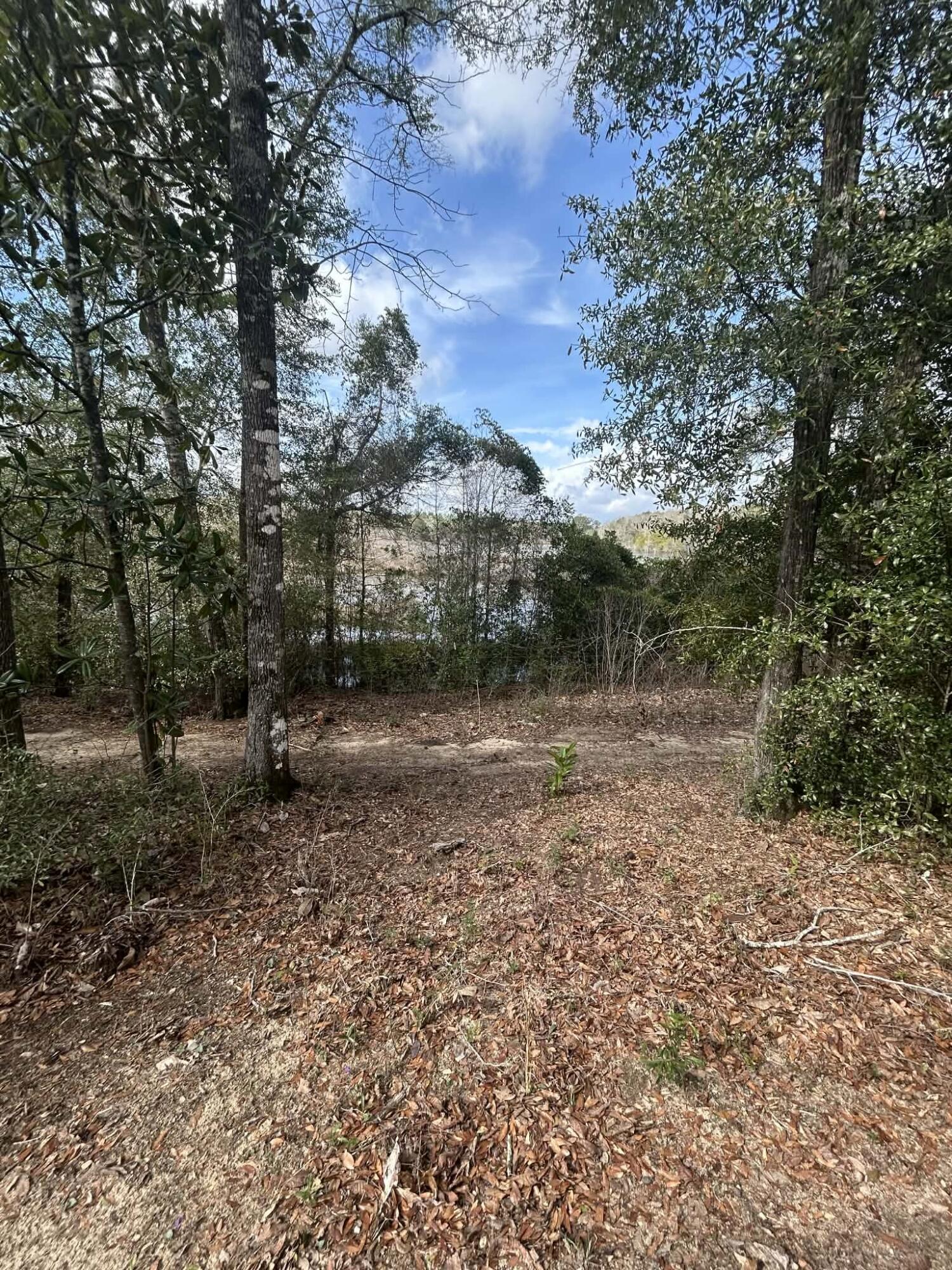 107 Pike Pond Road Chipley FL 32428