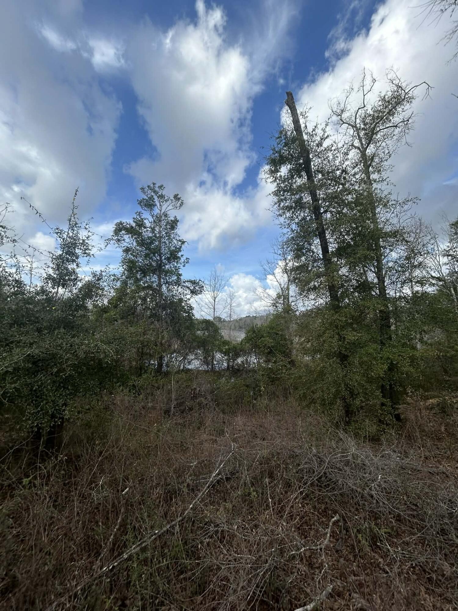 107 Pike Pond Road Chipley FL 32428