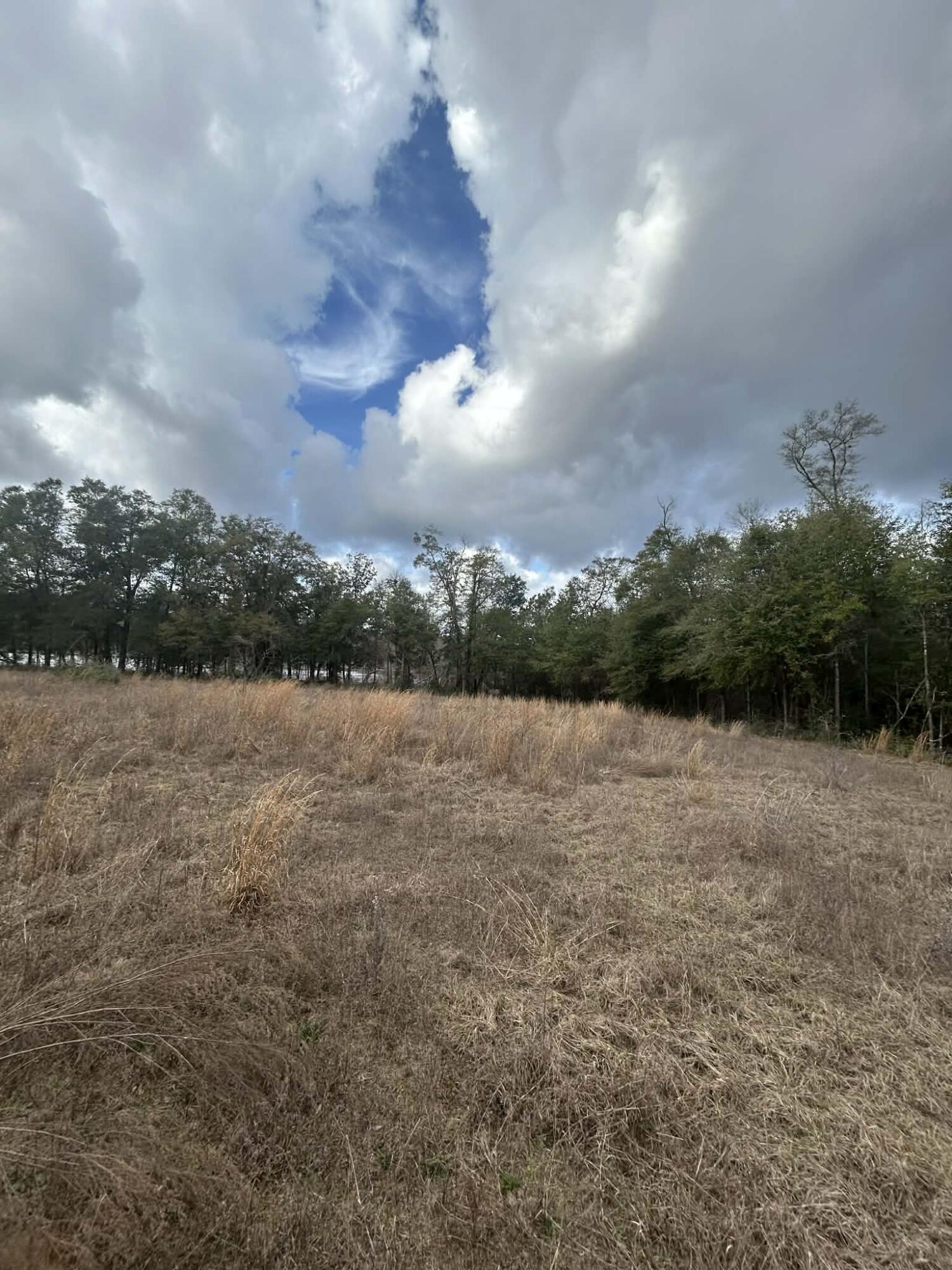 107 Pike Pond Road Chipley FL 32428