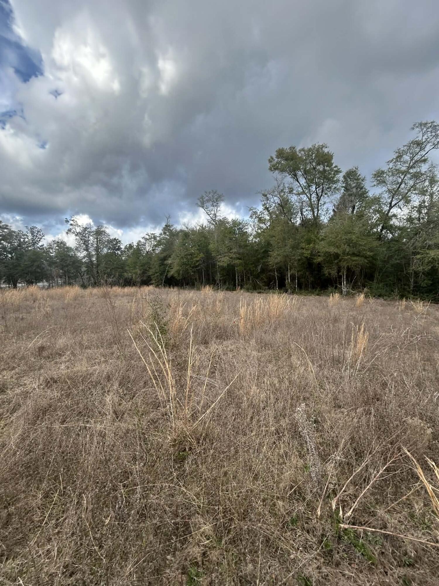 107 Pike Pond Road Chipley FL 32428