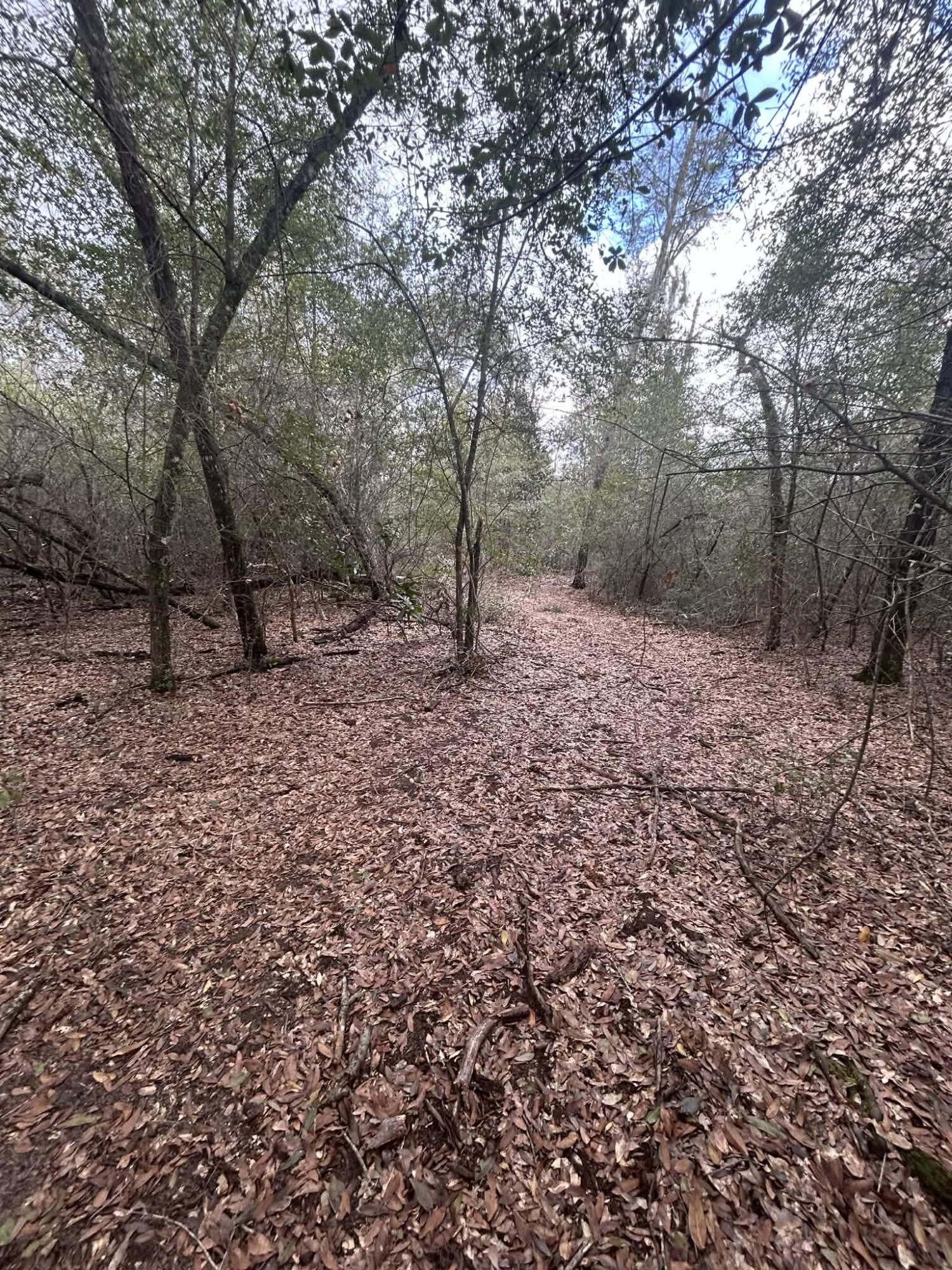 107 Pike Pond Road Chipley FL 32428