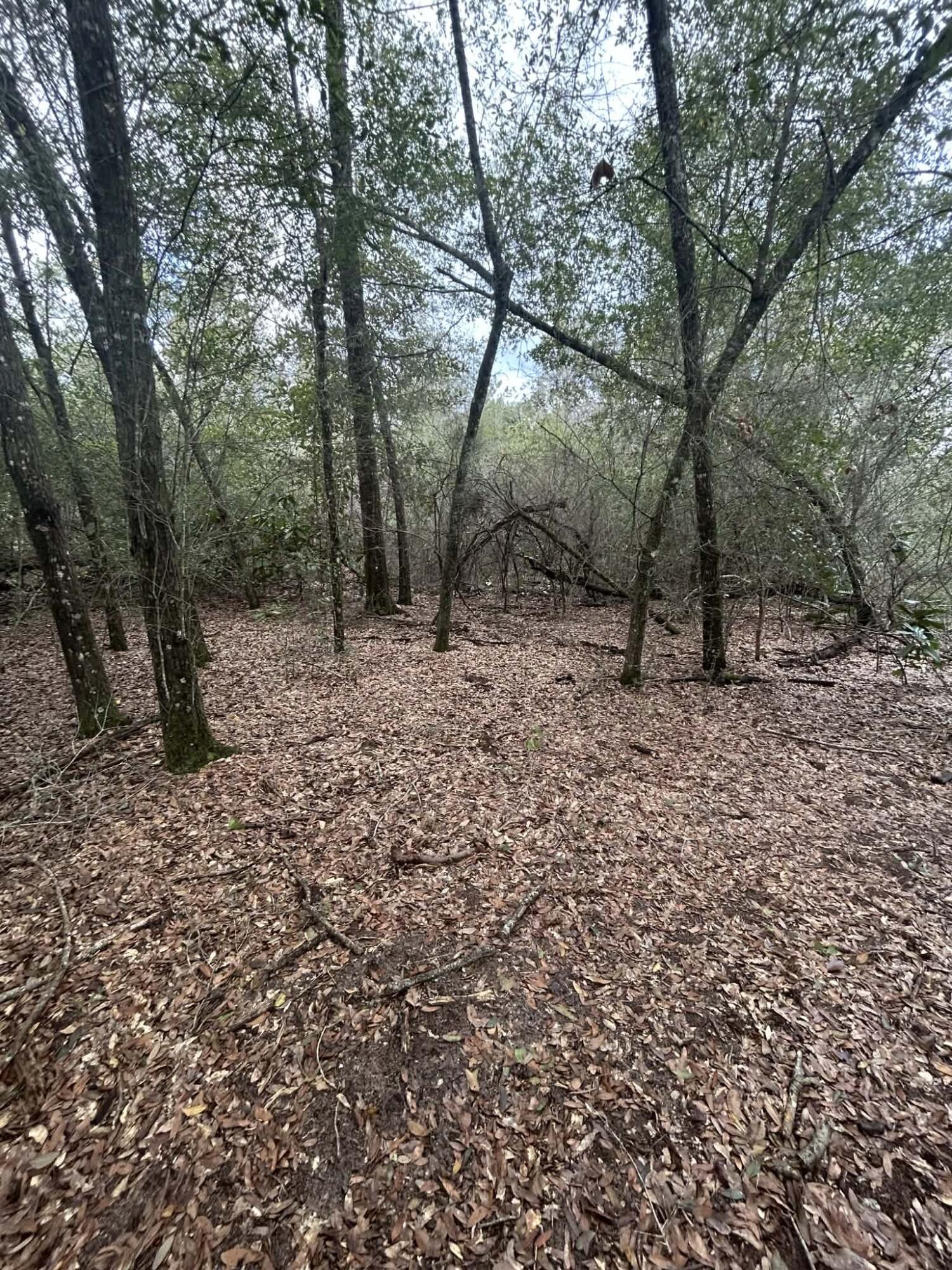 107 Pike Pond Road Chipley FL 32428