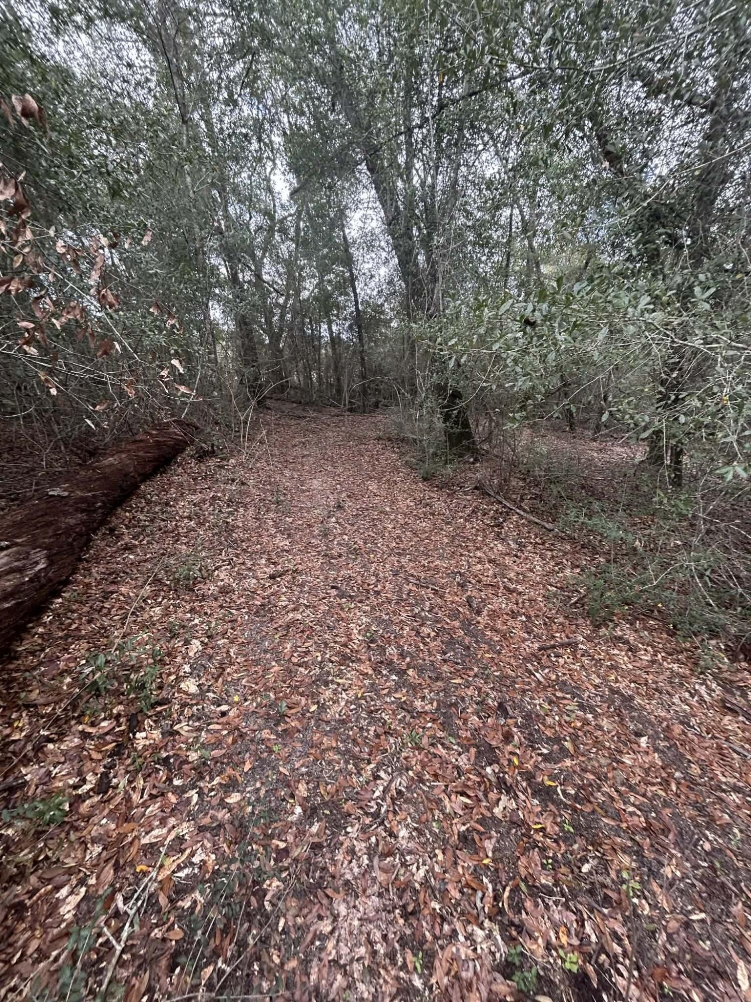 107 Pike Pond Road Chipley FL 32428