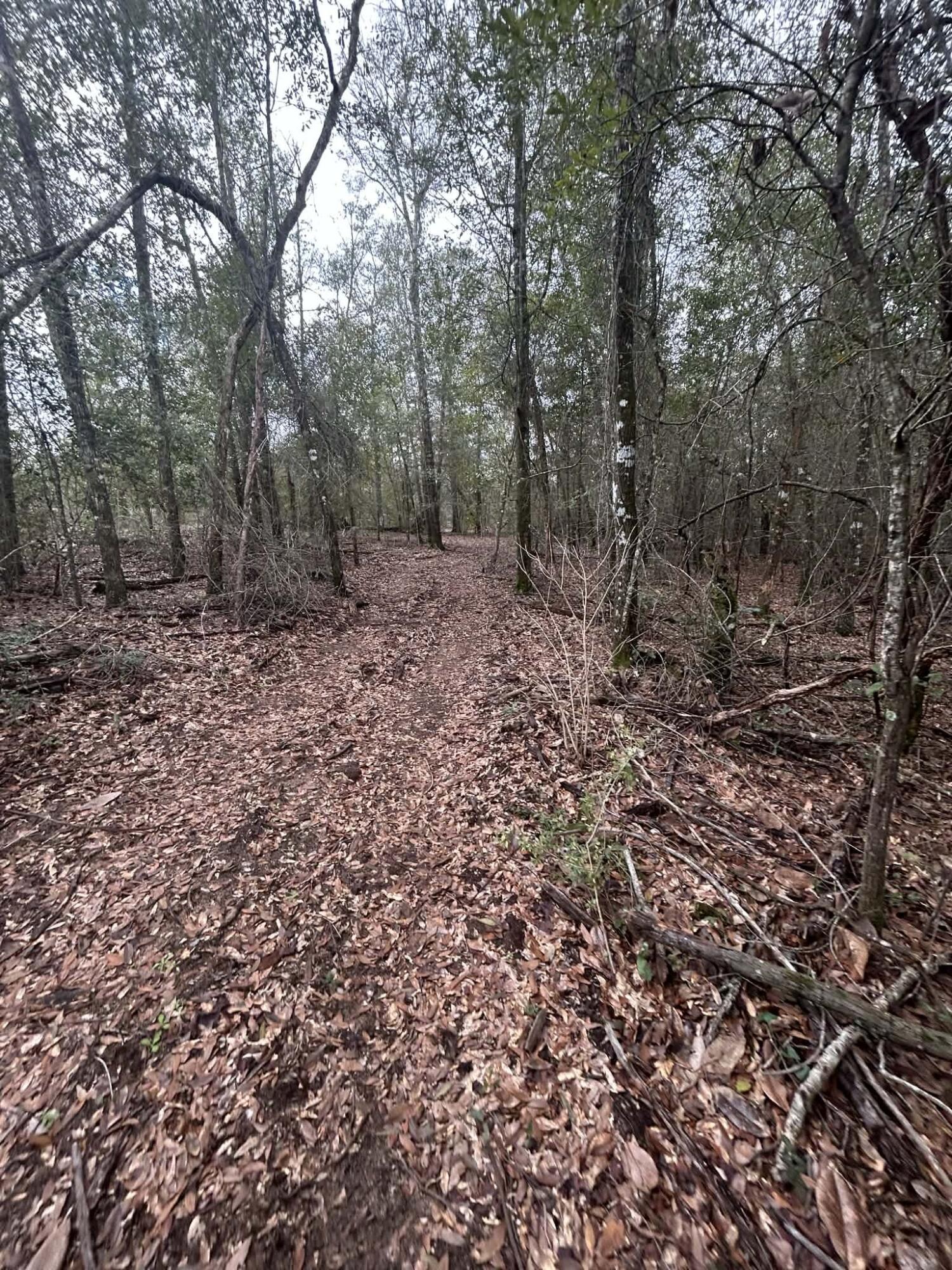 107 Pike Pond Road Chipley FL 32428