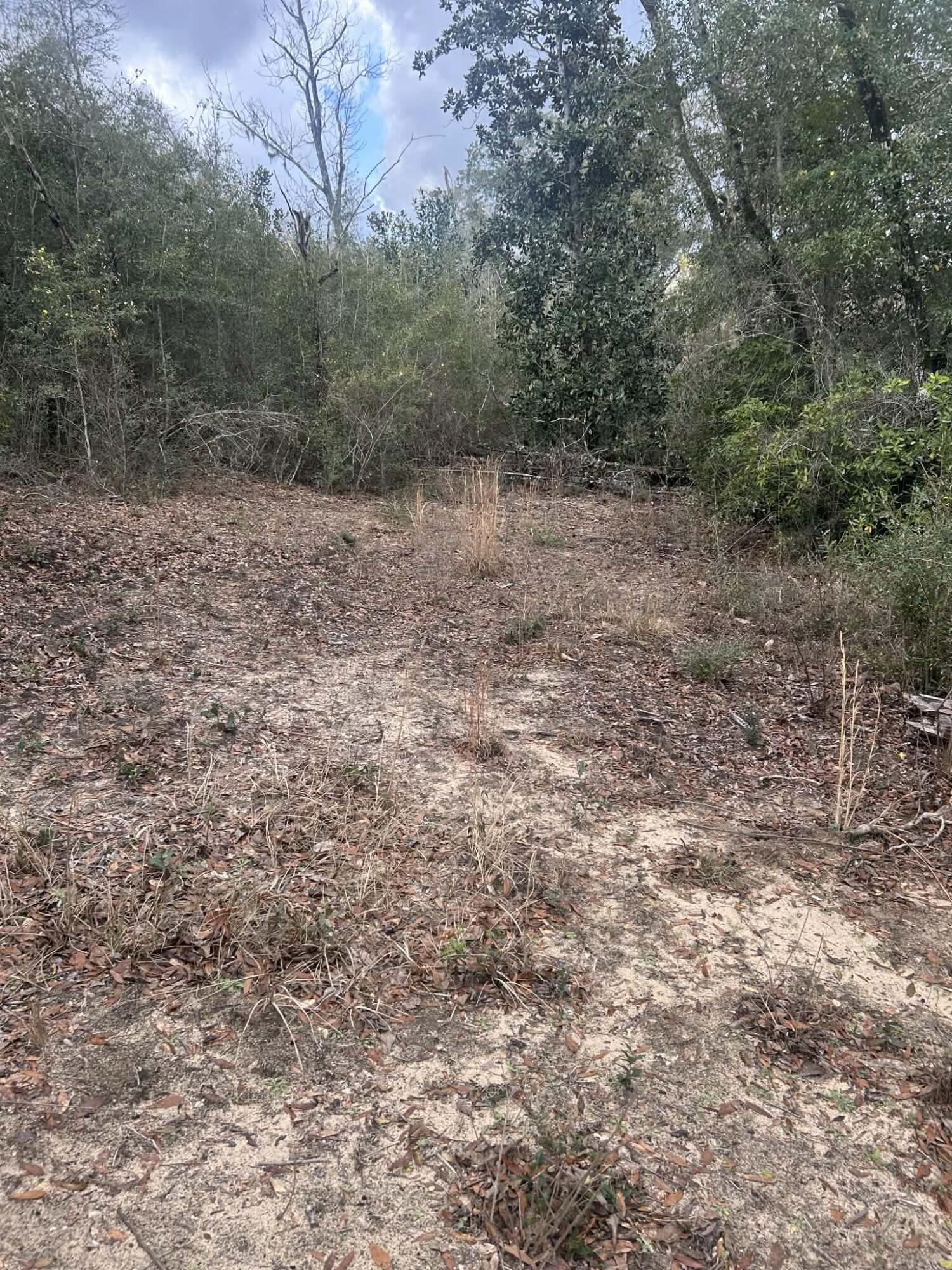 107 Pike Pond Road Chipley FL 32428