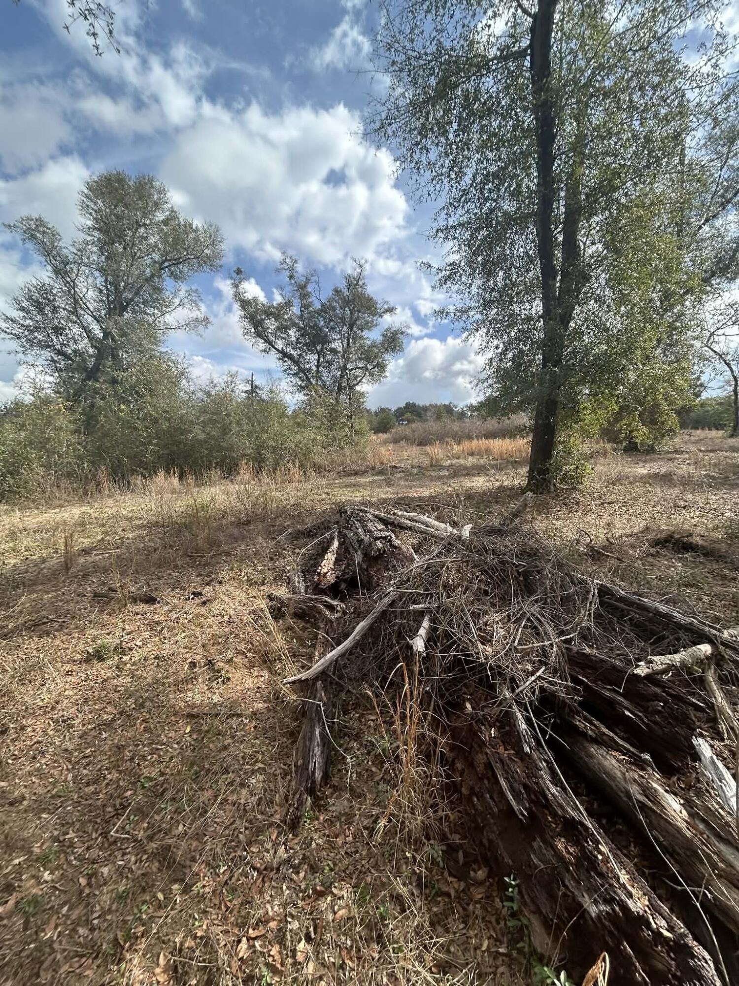 107 Pike Pond Road Chipley FL 32428