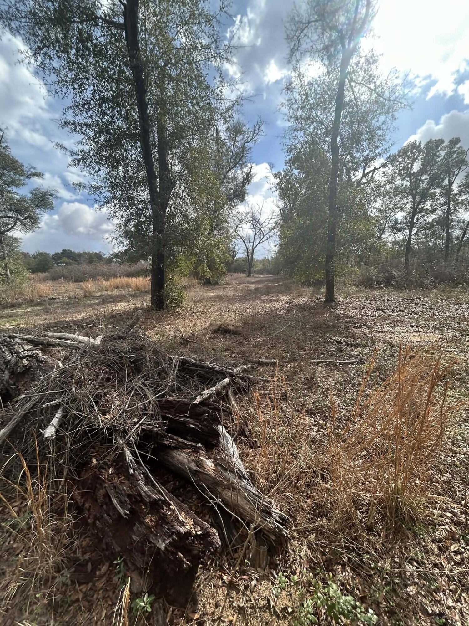 107 Pike Pond Road Chipley FL 32428