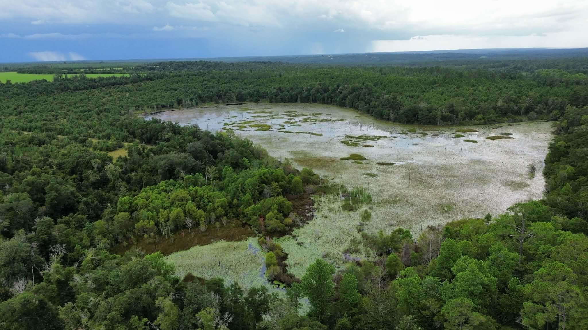 107 Pike Pond Road Chipley FL 32428