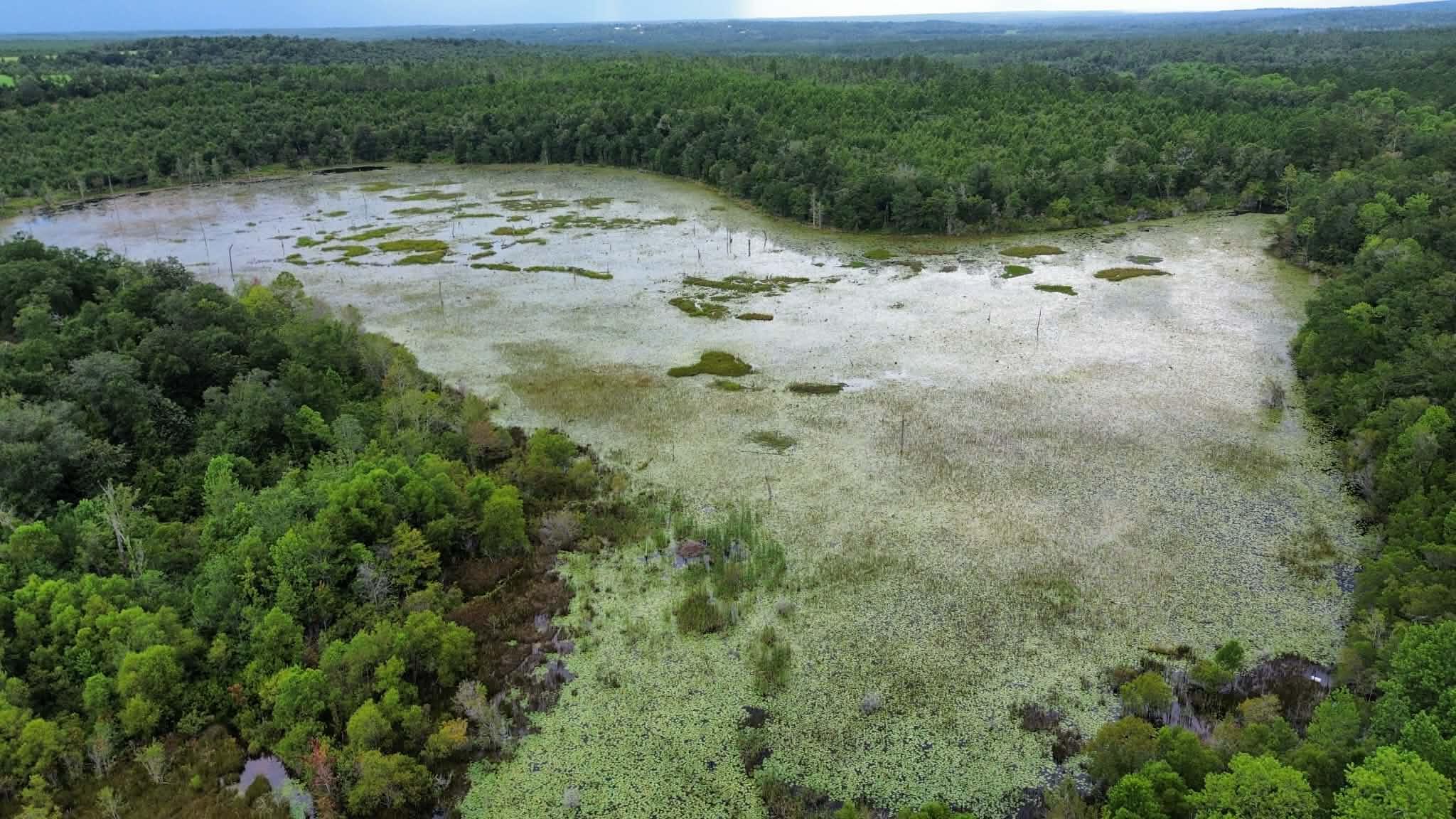 107 Pike Pond Road Chipley FL 32428