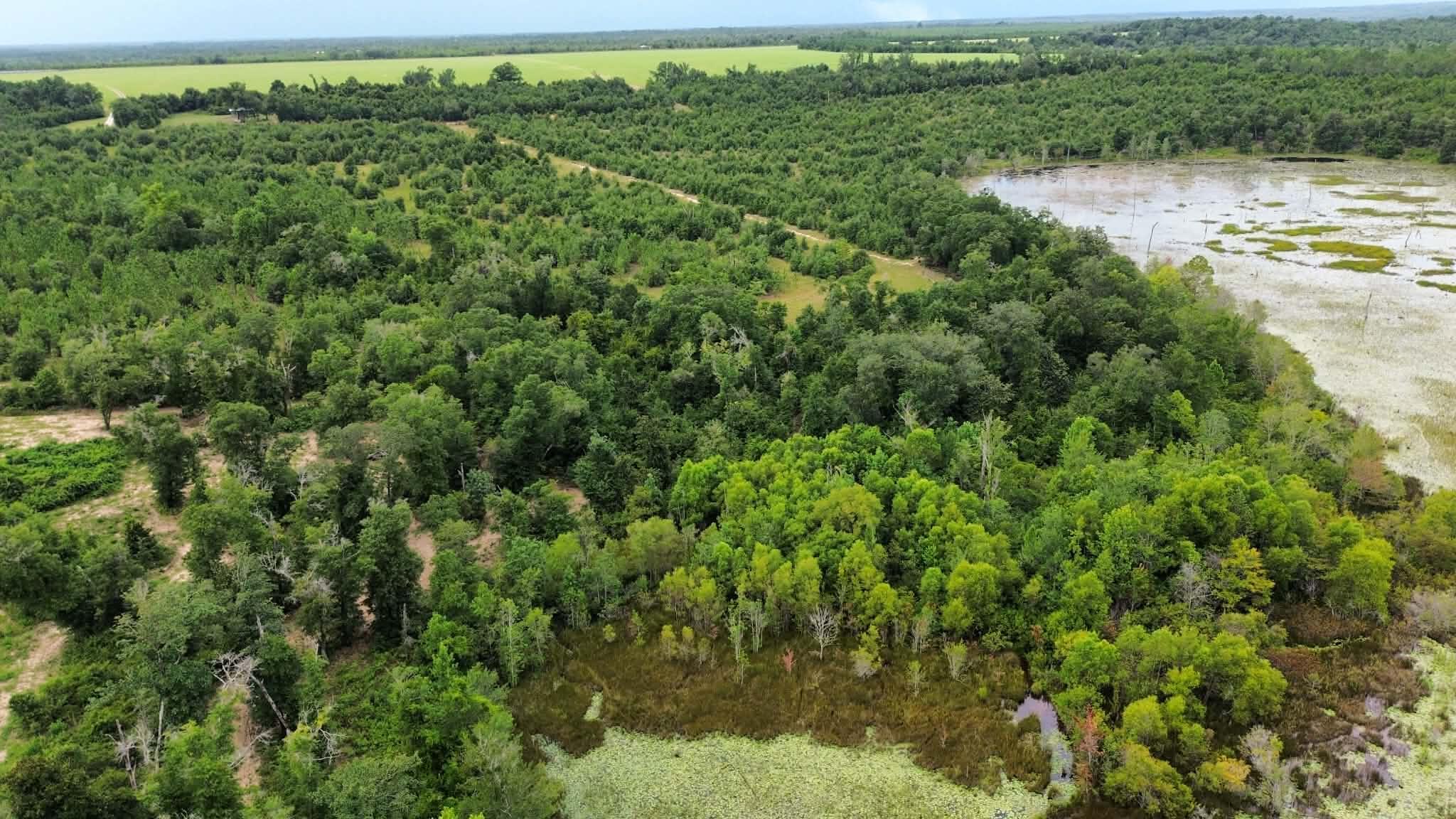 107 Pike Pond Road Chipley FL 32428