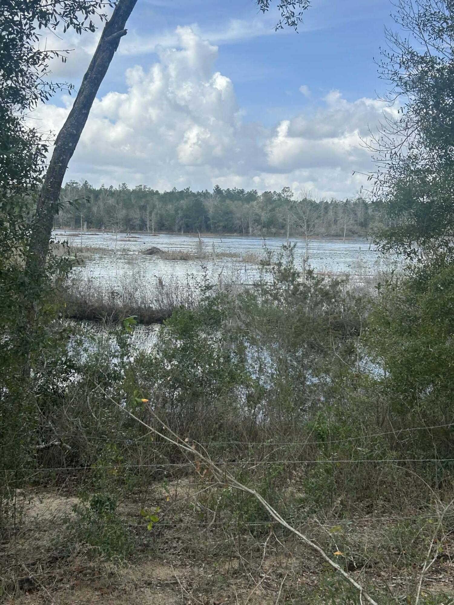 107 Pike Pond Road Chipley FL 32428
