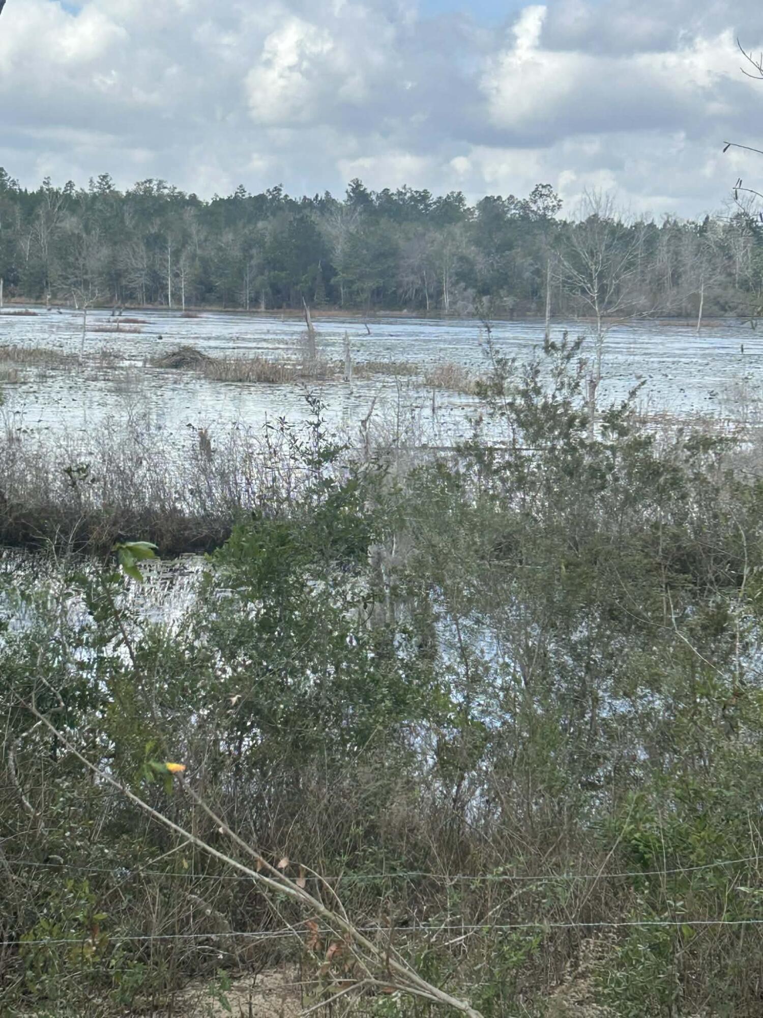 107 Pike Pond Road Chipley FL 32428