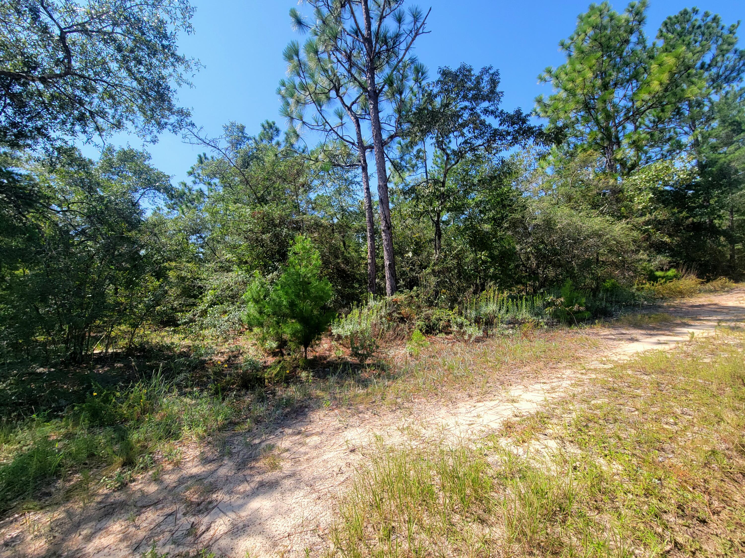 DeFuniak Springs FL, 1 ac. Margaret Boulevard