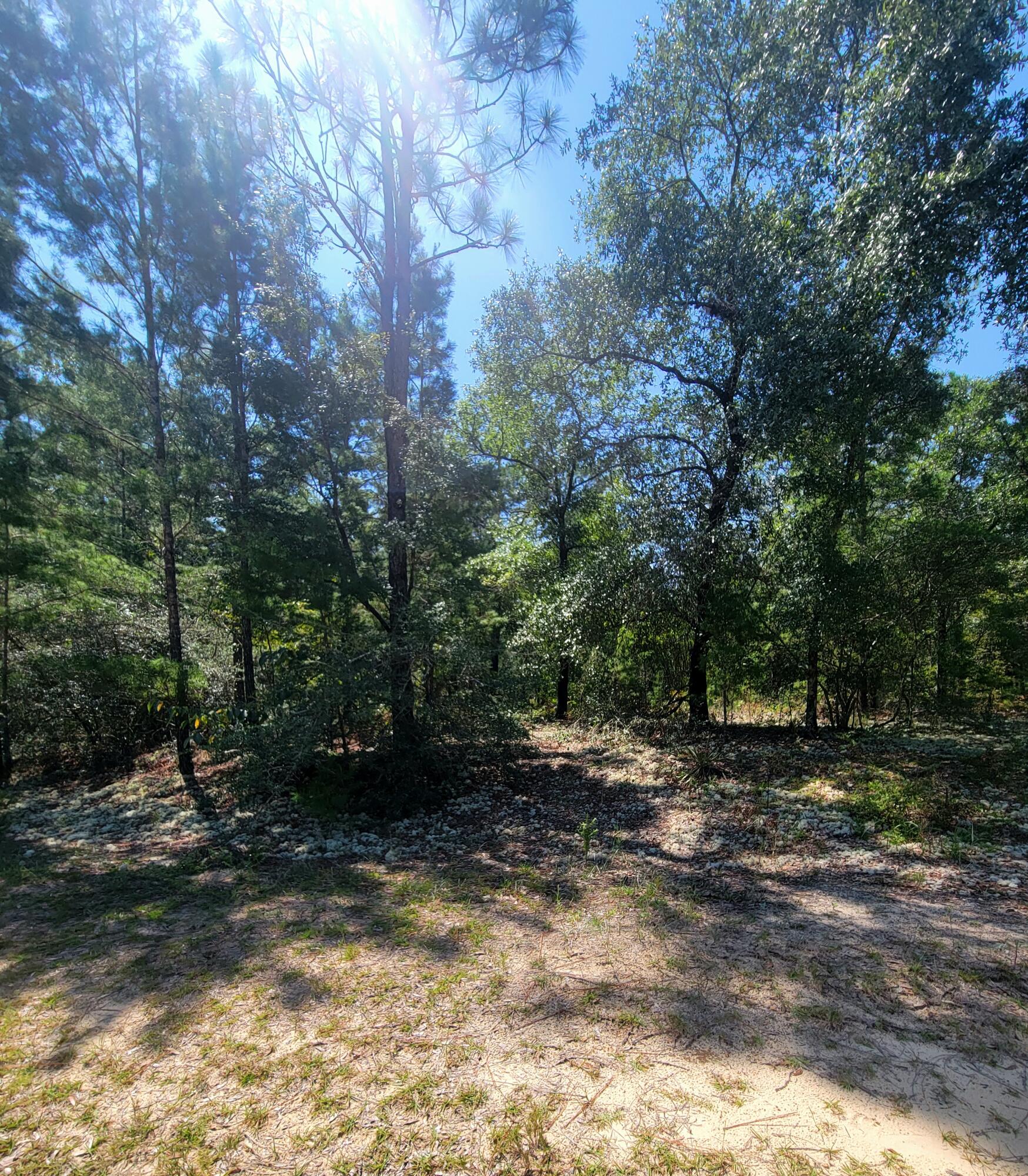 1 Ac. Margaret Boulevard Defuniak Springs FL 32433