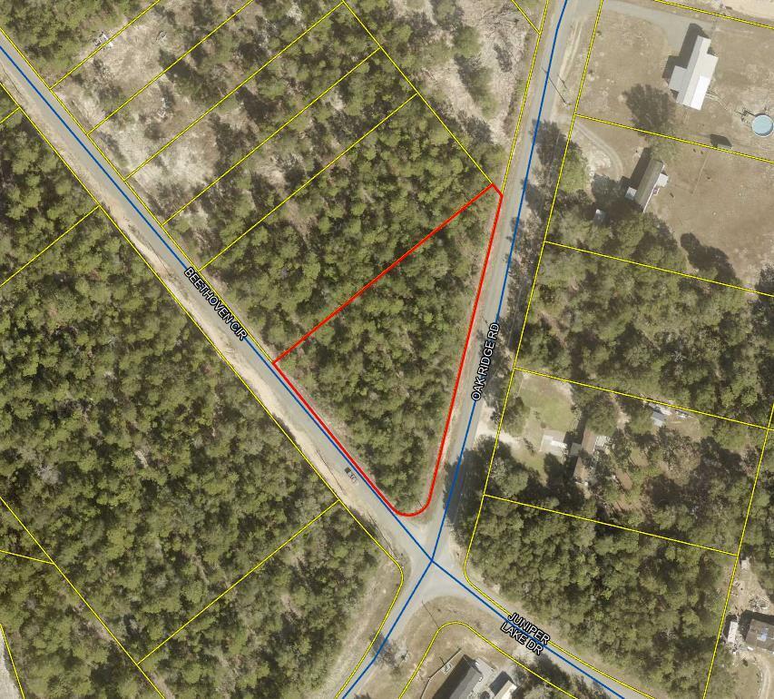 1.1 Acres Oakridge Road Defuniak Springs FL 32433