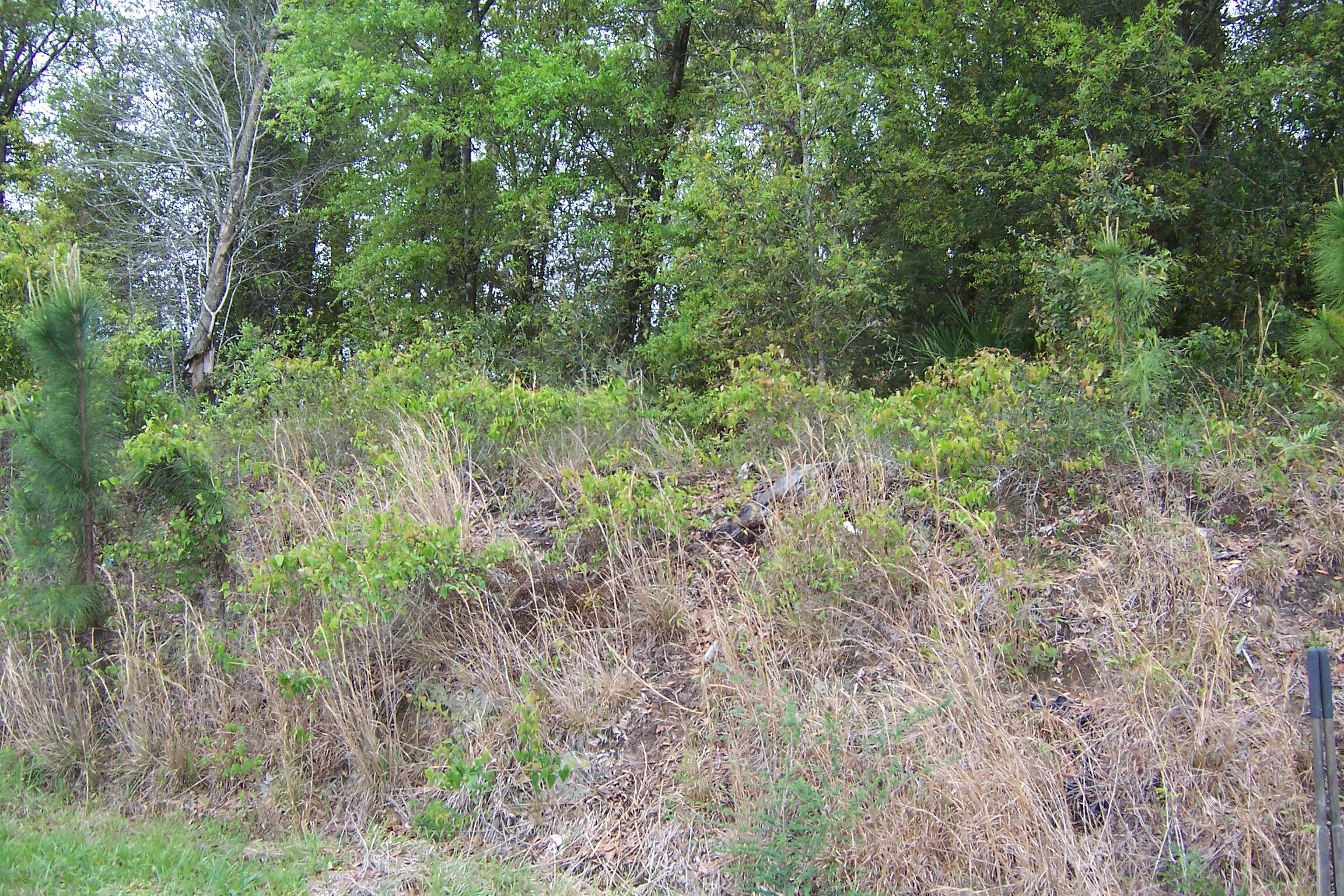 7AC Pine Forest Road Pensacola FL 32526