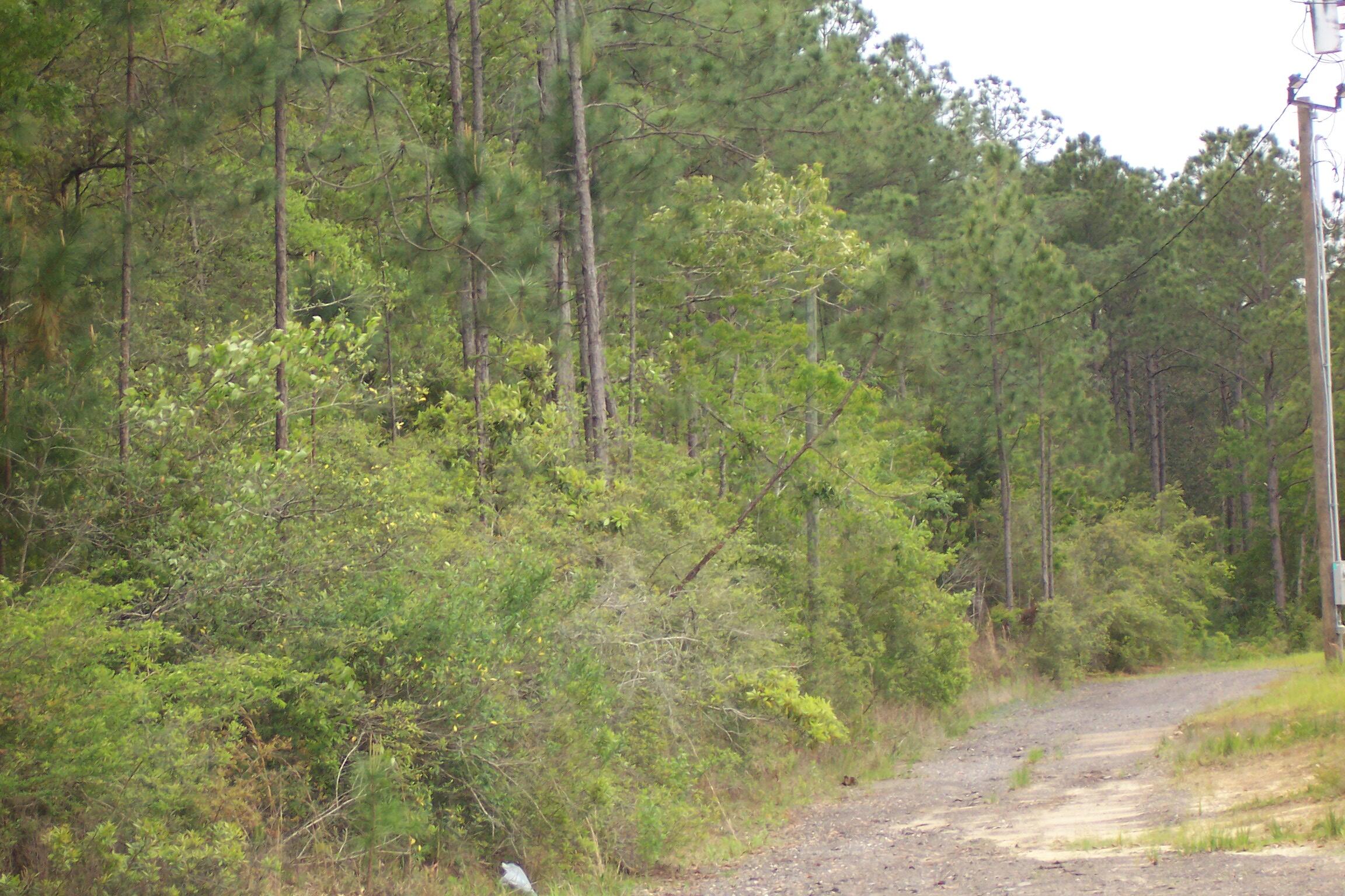 7AC Pine Forest Road Pensacola FL 32526