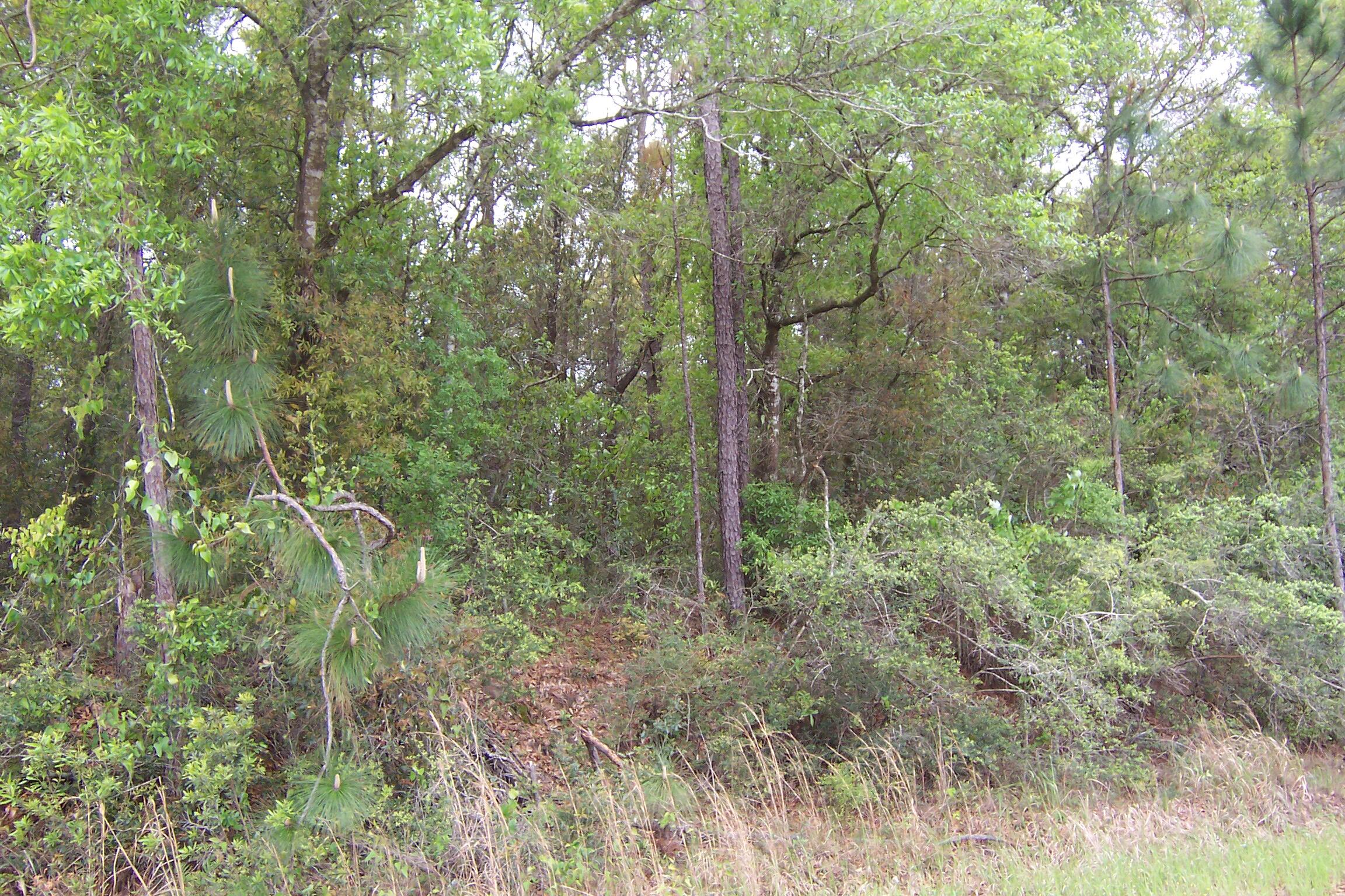 7AC Pine Forest Road Pensacola FL 32526