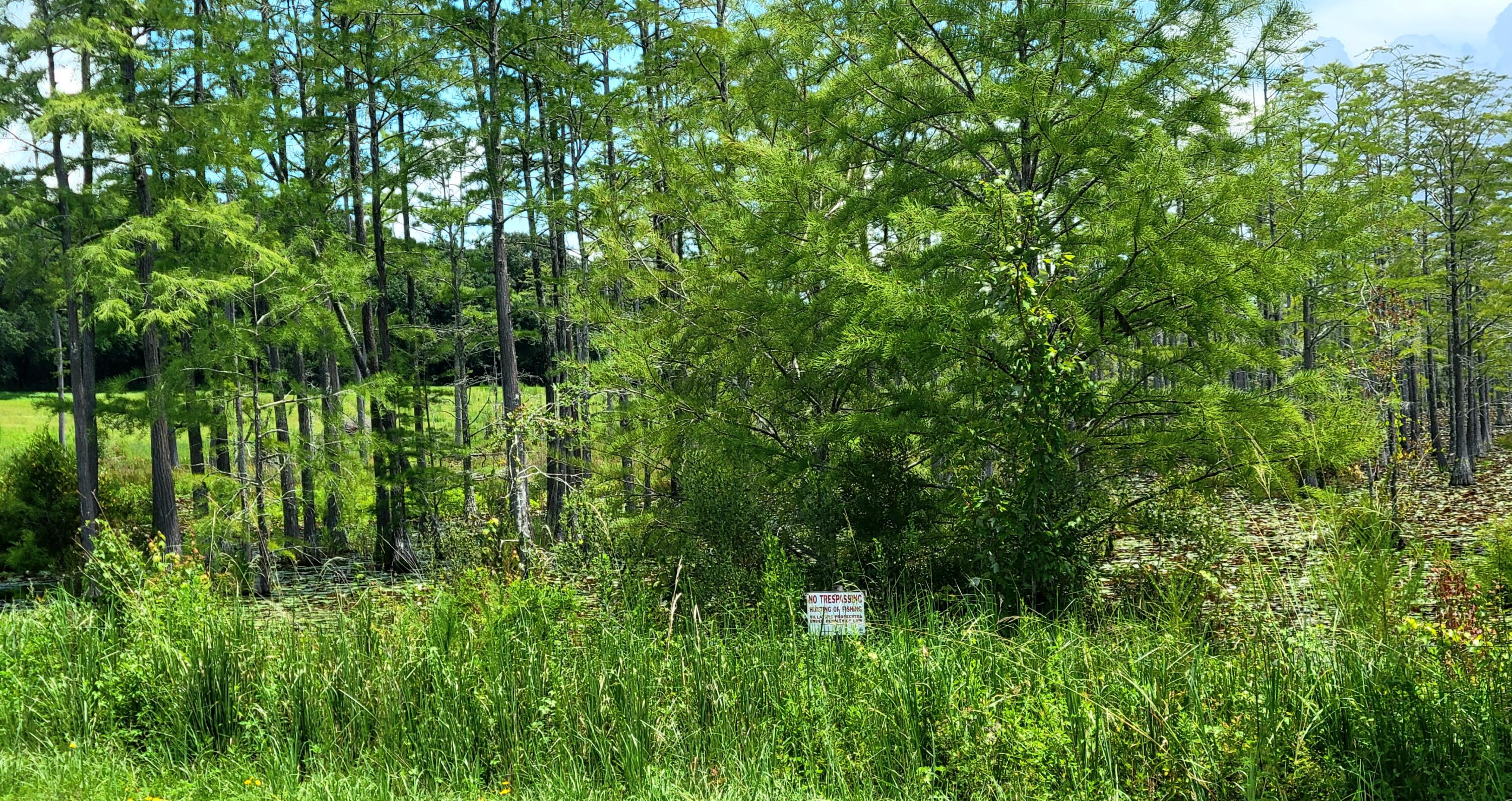 6584 E State Highway 2 Westville FL 32464