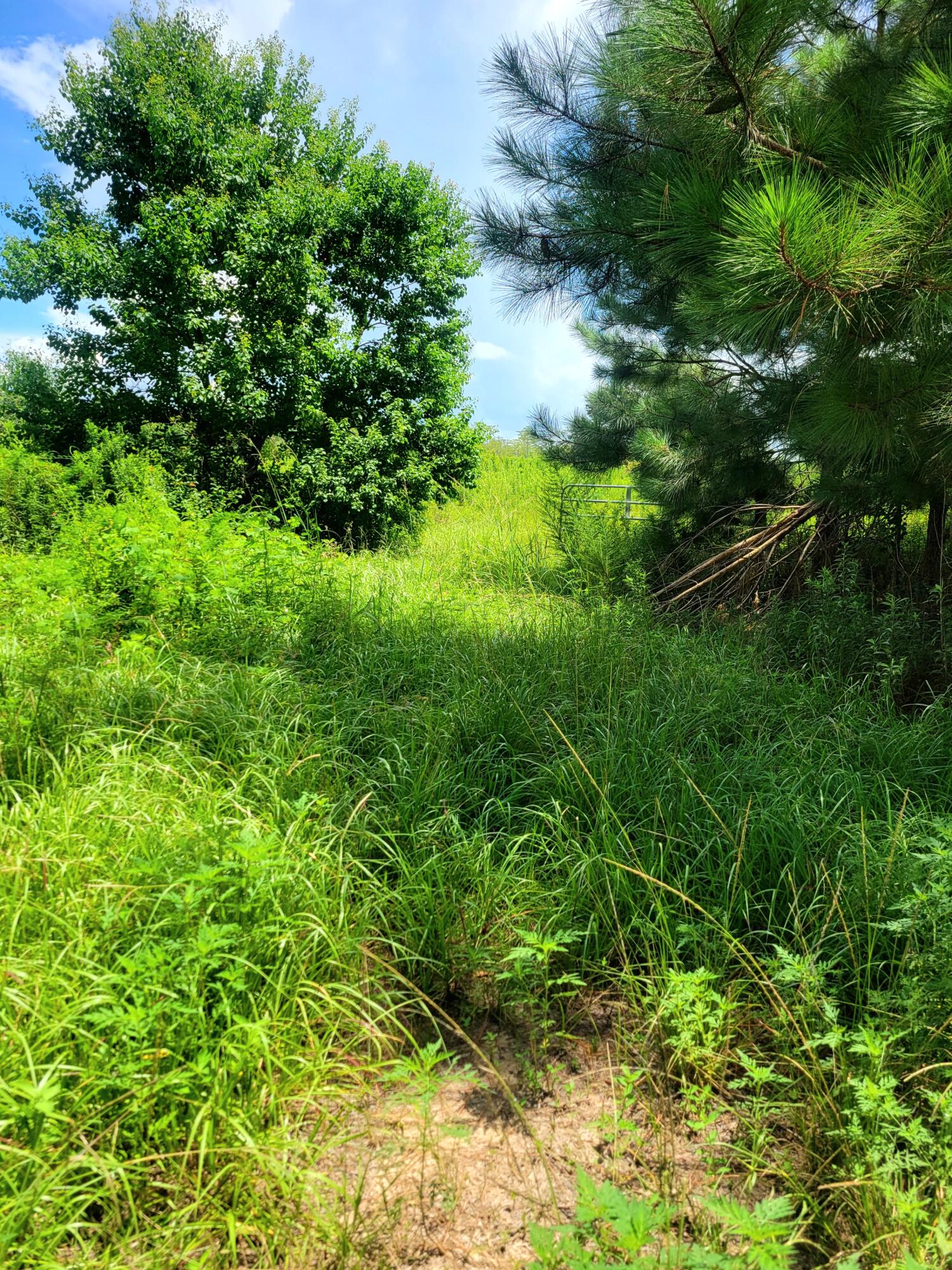 6584 E State Highway 2 Westville FL 32464