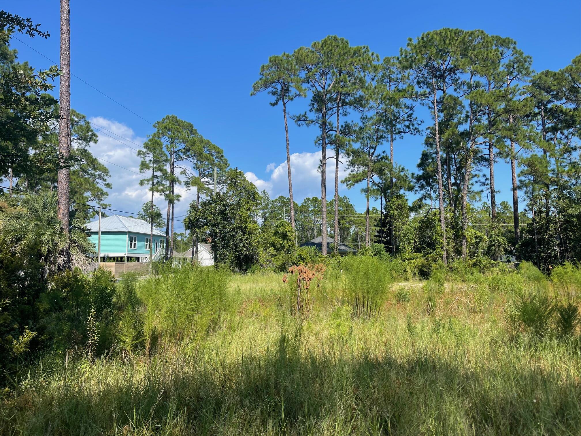 00 E Ann Street Santa Rosa Beach FL 32459