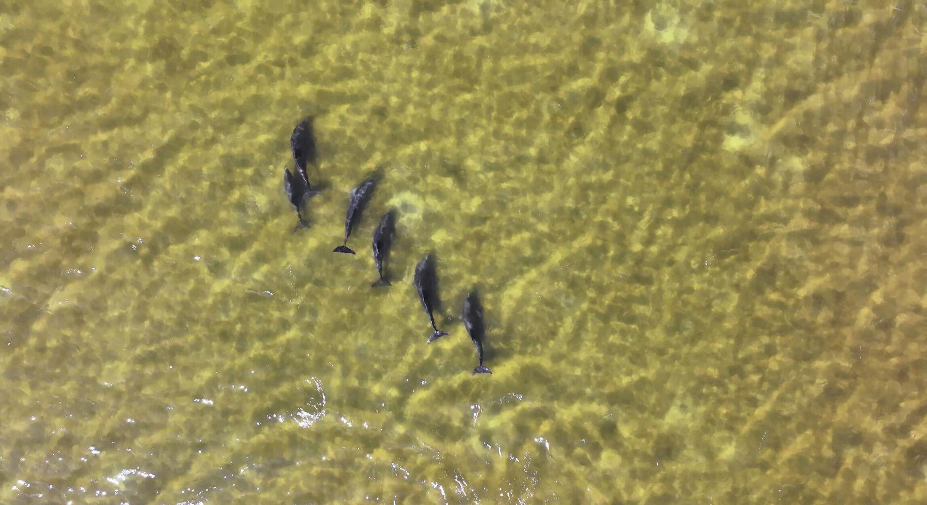 46 Morning Sun Court Santa Rosa Beach FL 32459