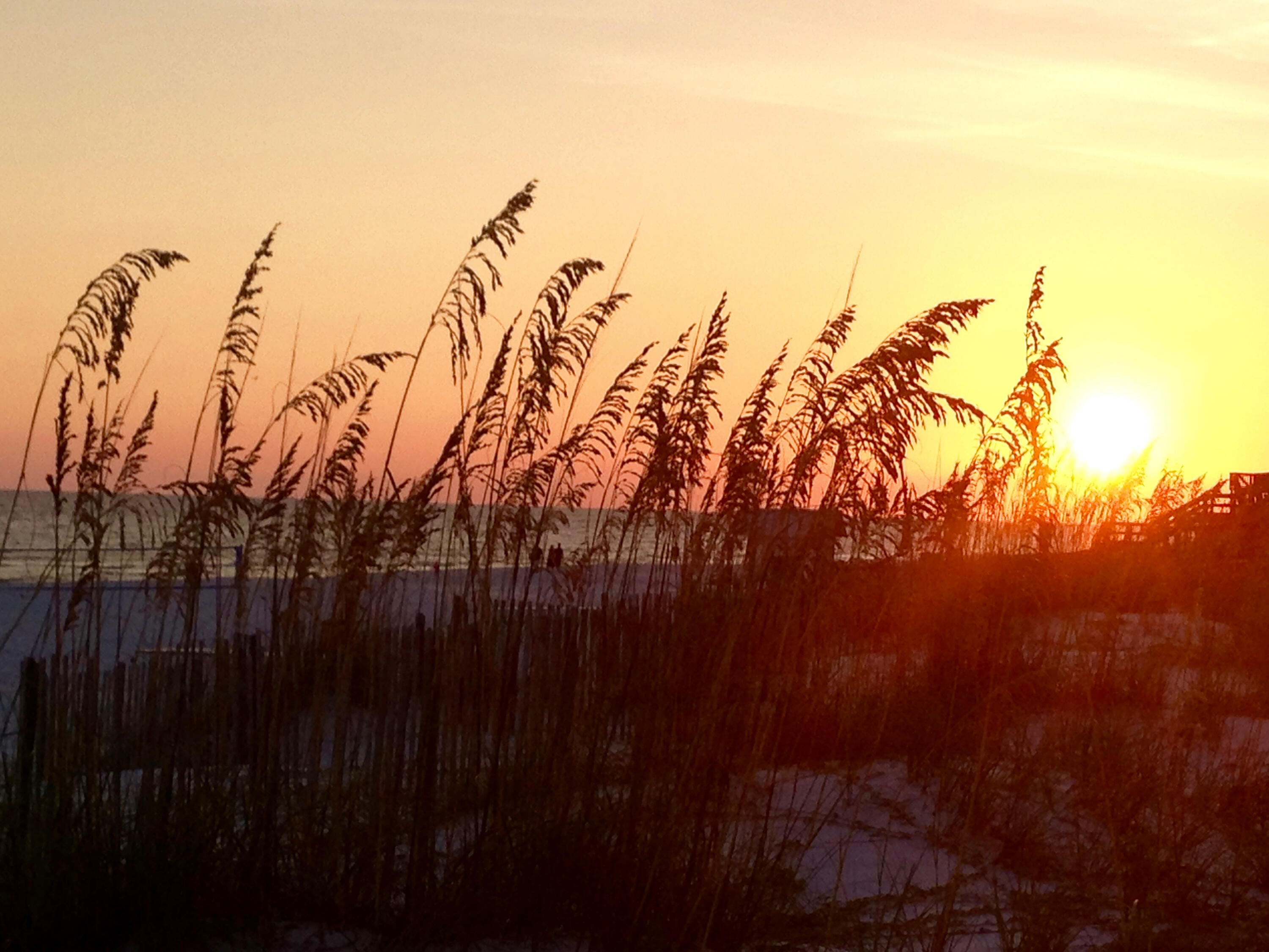Lot 29 Spinnaker Court Navarre FL 32566