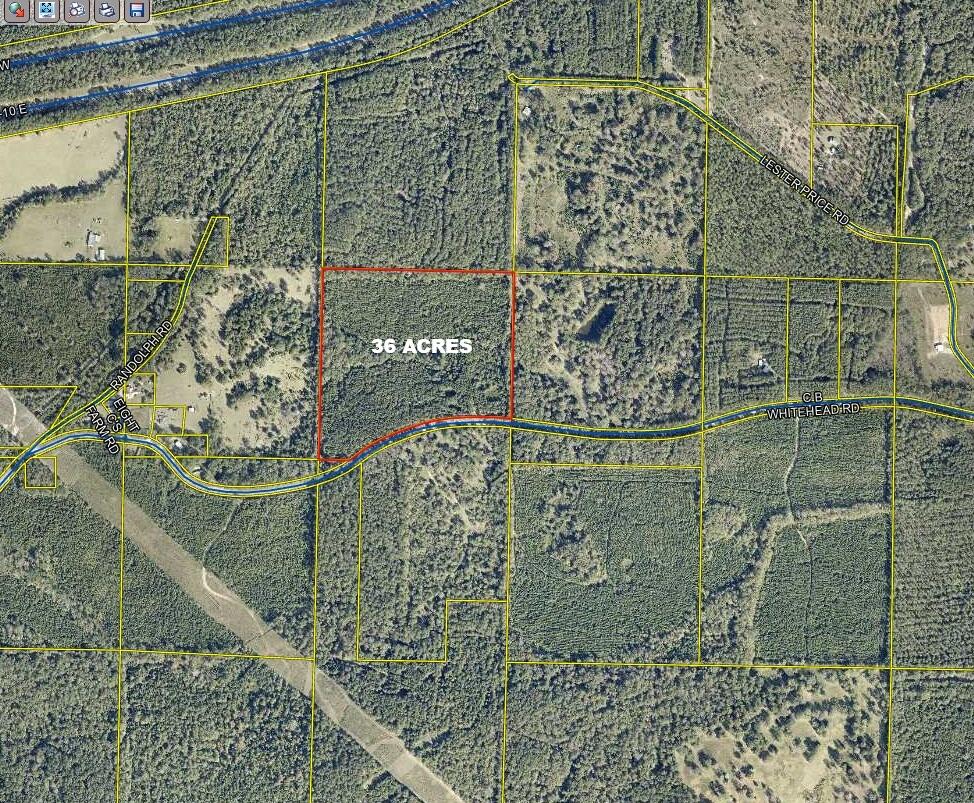00 C B Whitehead Road Ponce De Leon FL 32455