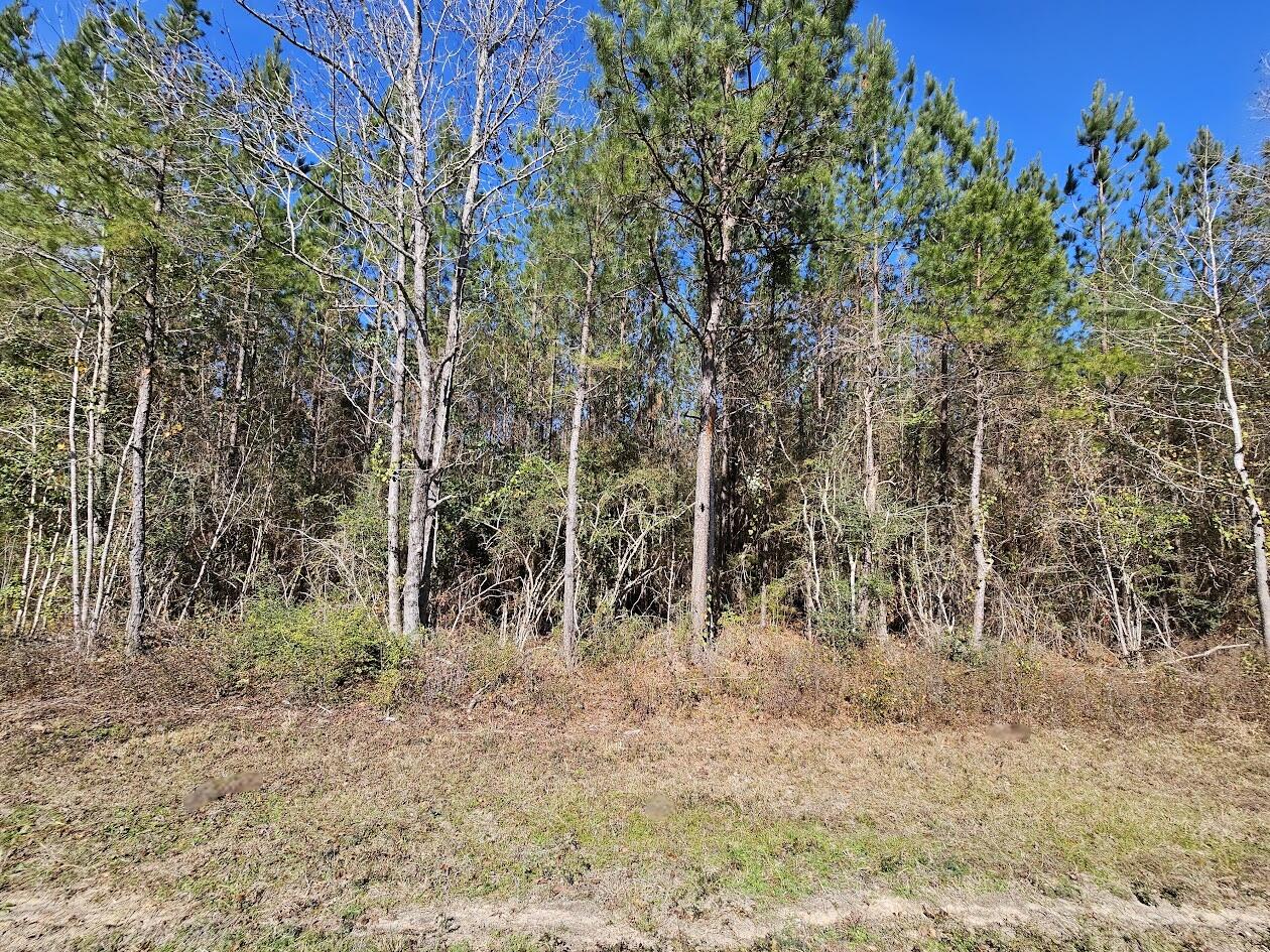 00 C B Whitehead Road Ponce De Leon FL 32455