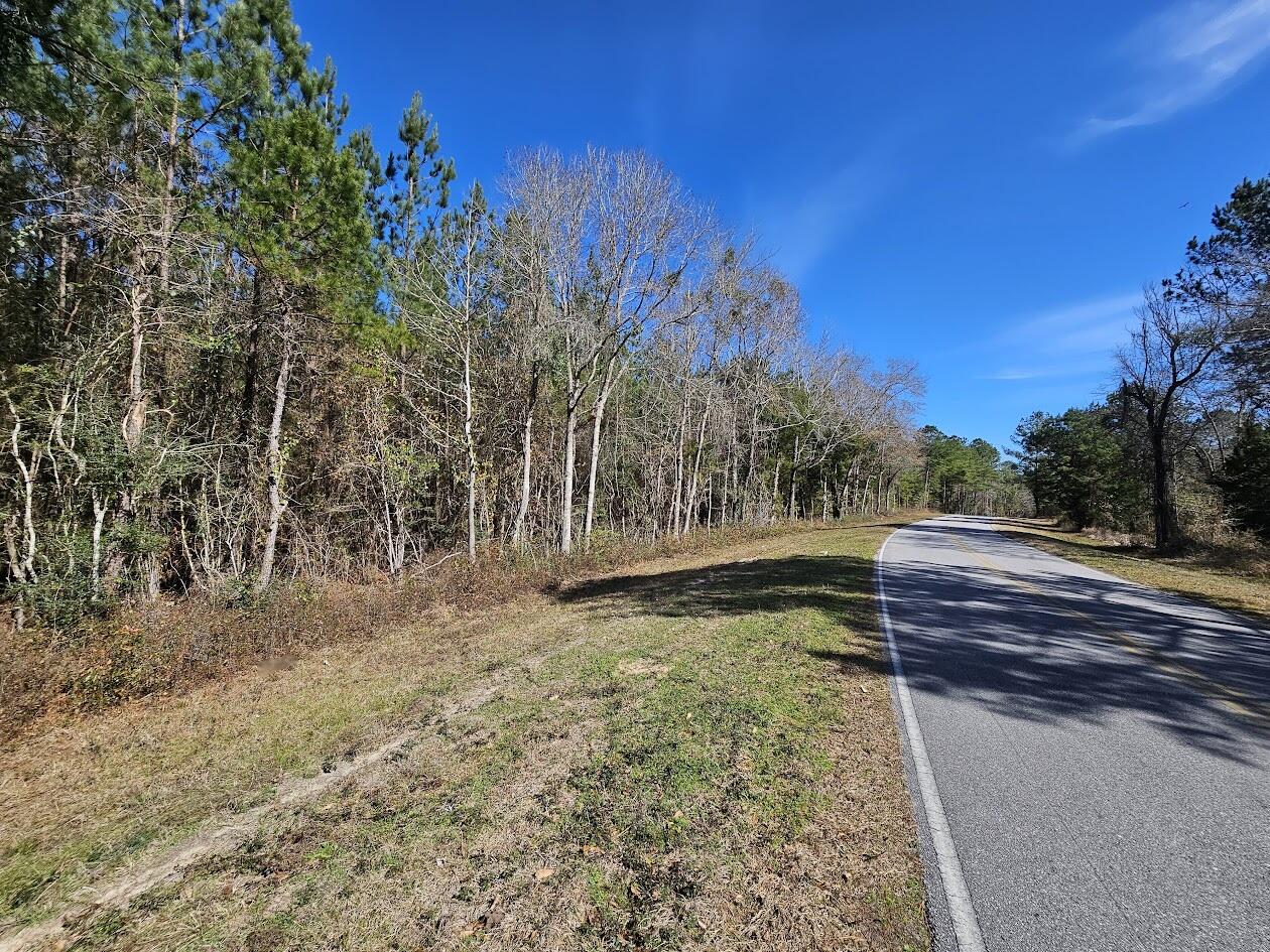 00 C B Whitehead Road Ponce De Leon FL 32455