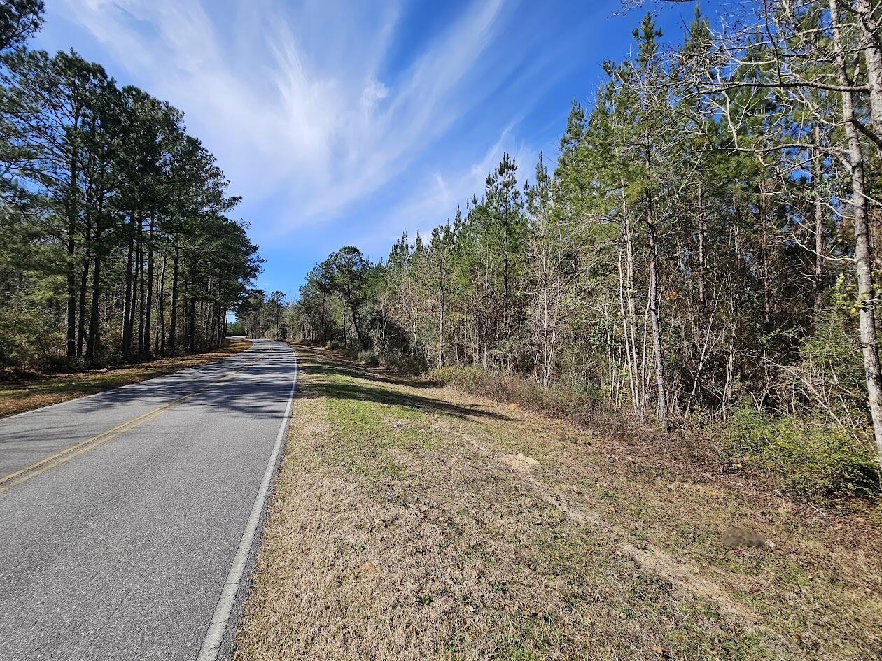 00 C B Whitehead Road Ponce De Leon FL 32455