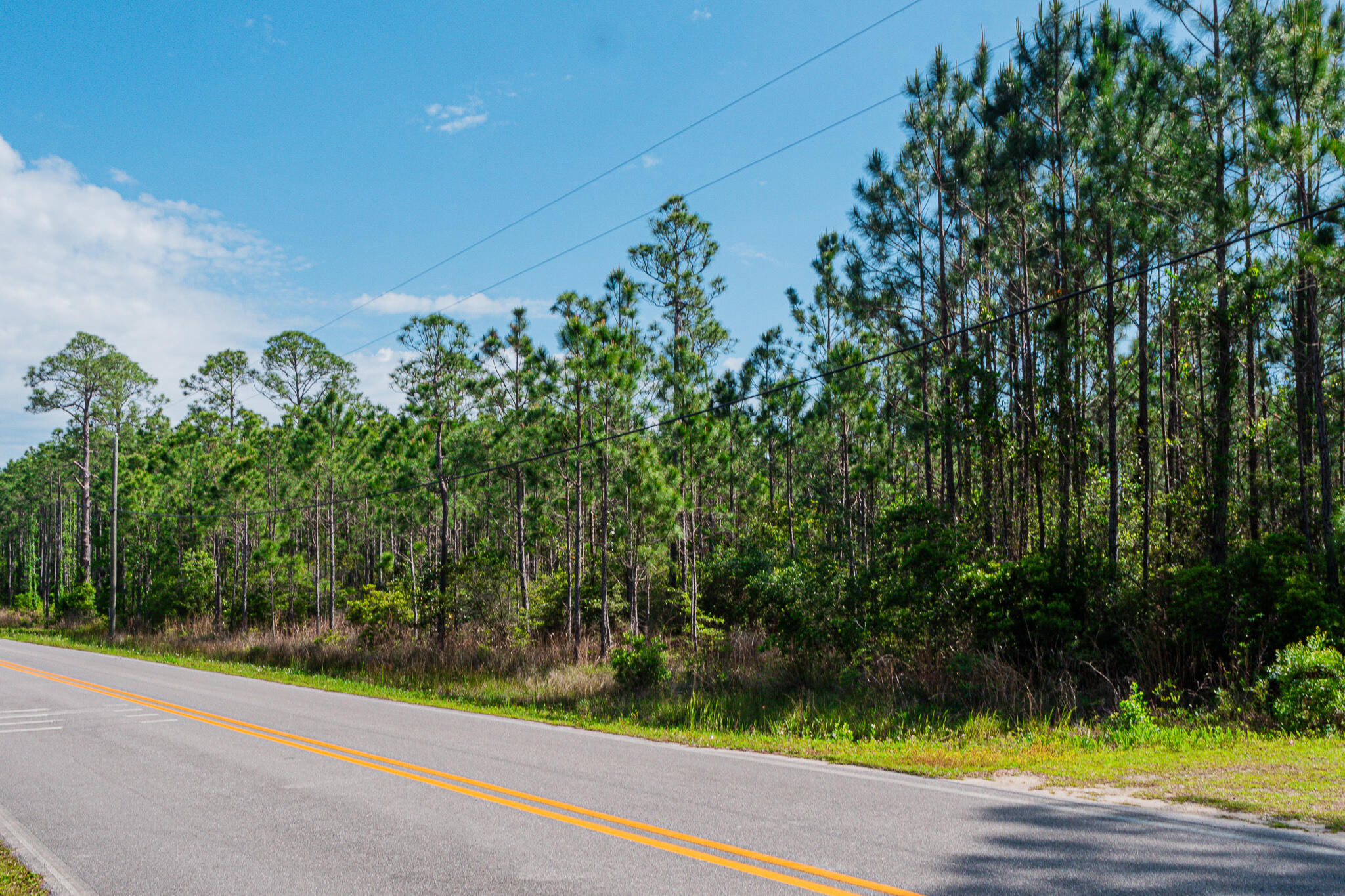 Tbd N County Highway 393 Santa Rosa Beach FL 32459